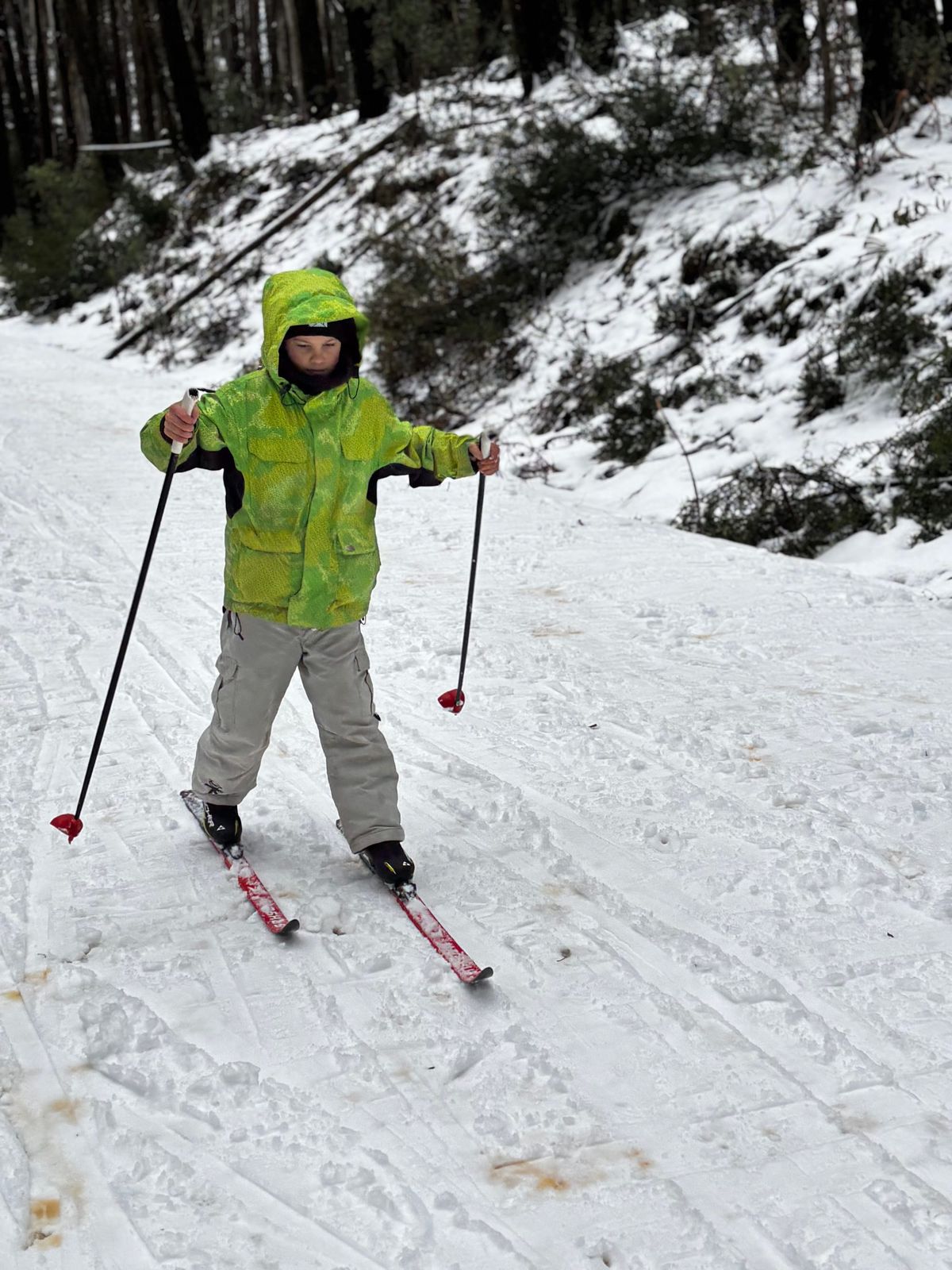 MPS grade fours head to Mt Stirling Post feature image