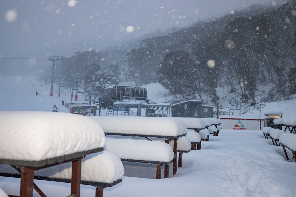 Thredbo to open with best start in decades Post feature image