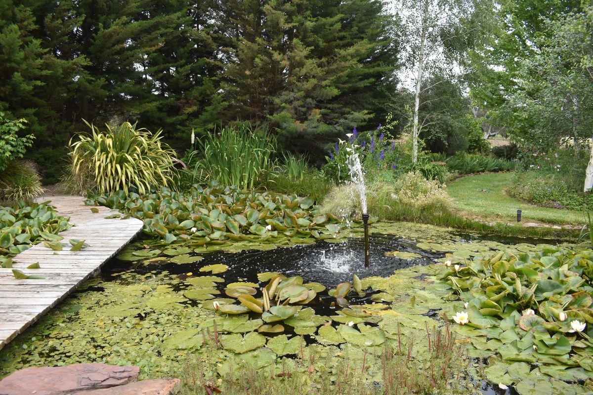 Garden opens for Australia Day weekend Post feature image