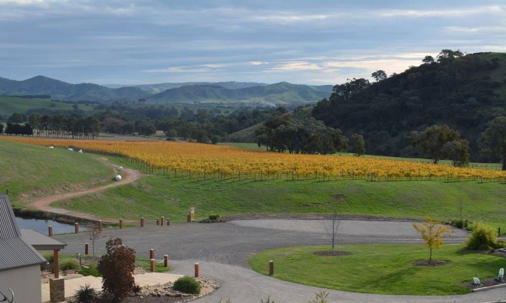 Experience the delights of Sedona Estate wines Post feature image