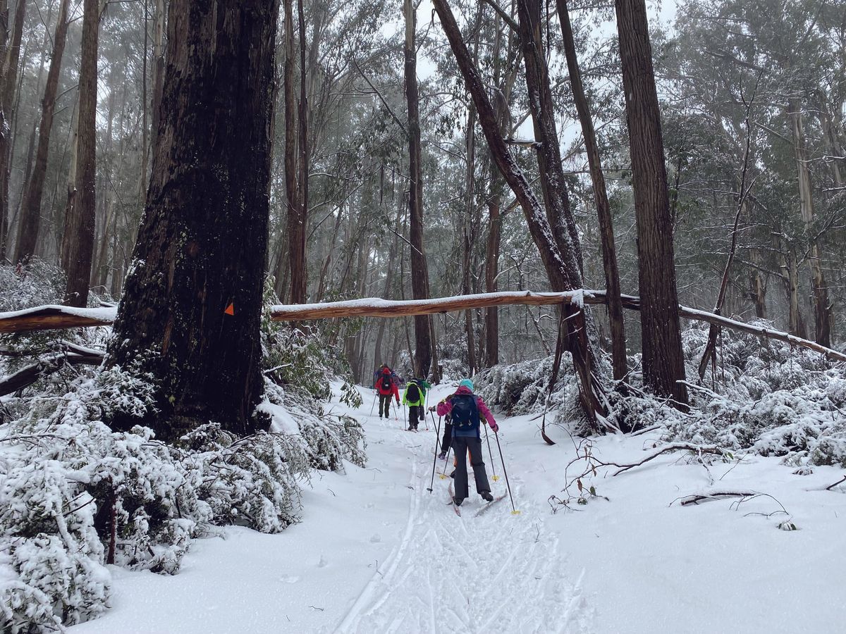 Cross country skiing Steiner style Post feature image