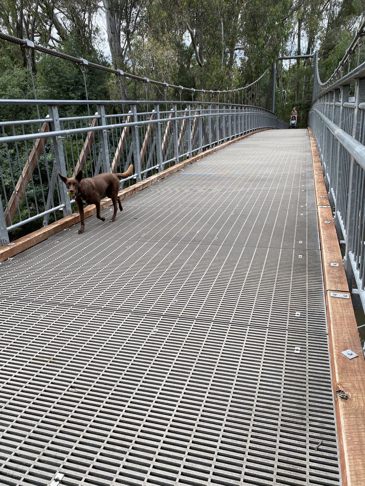 Experience Wangaratta this autumn Post feature image