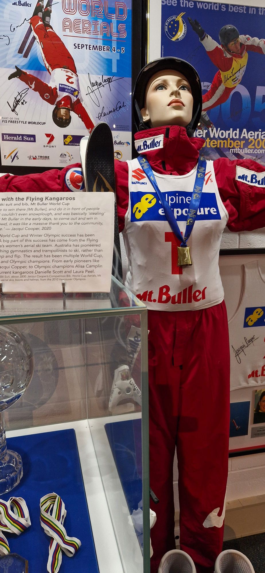 Buller’s Flying Kangaroo Jacqui Cooper exhibition Post feature image