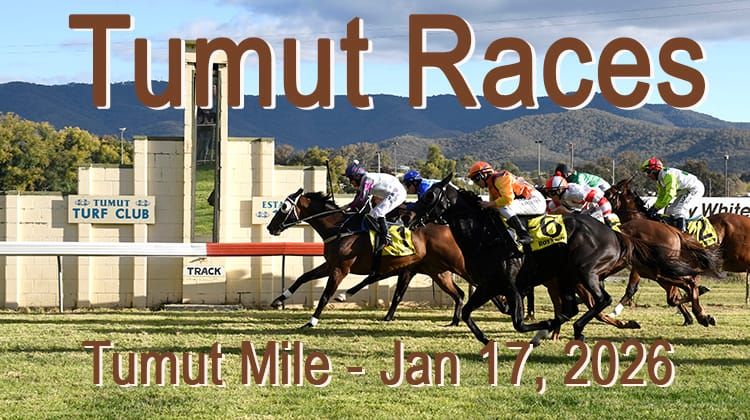 Tumut Races - Tumut Mile Post feature image