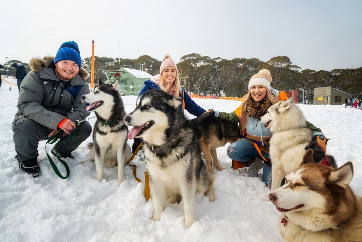Dinner Plain free and full of fun Post feature image