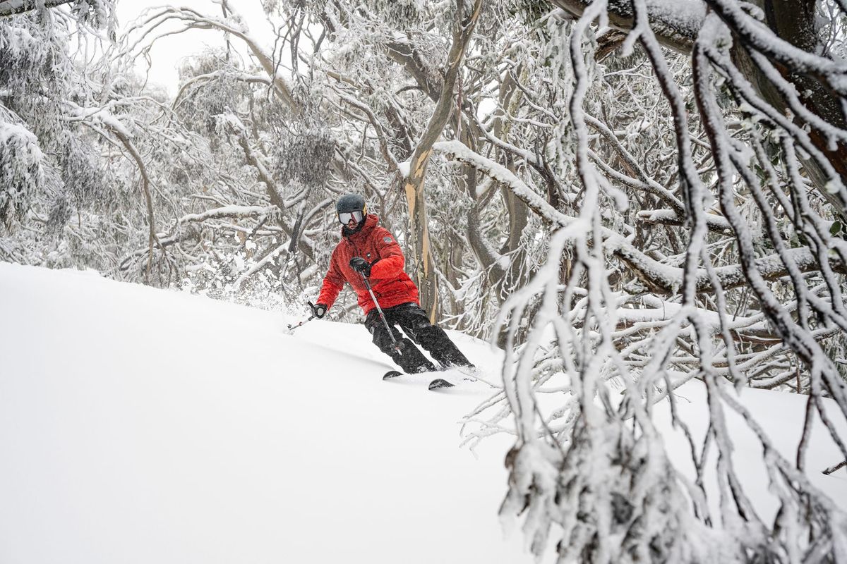 Buller blanketed with September snowfall Post feature image