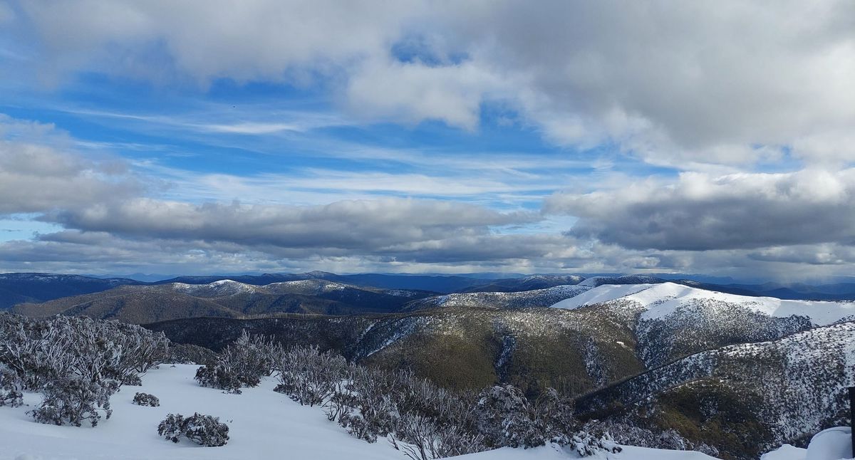 Walk into winter: Hotham, Dinner Plain in snowshoes Post feature image