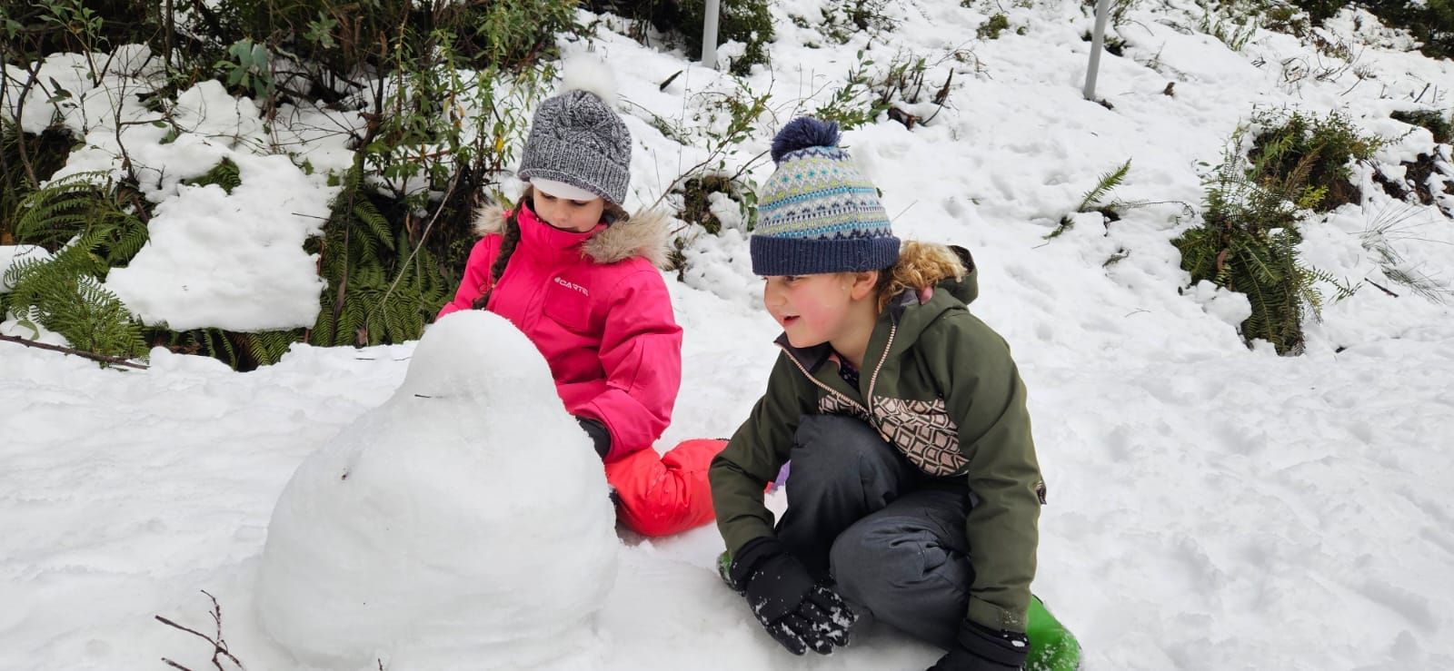 Steiner school appreciating winter in Mansfield Post image