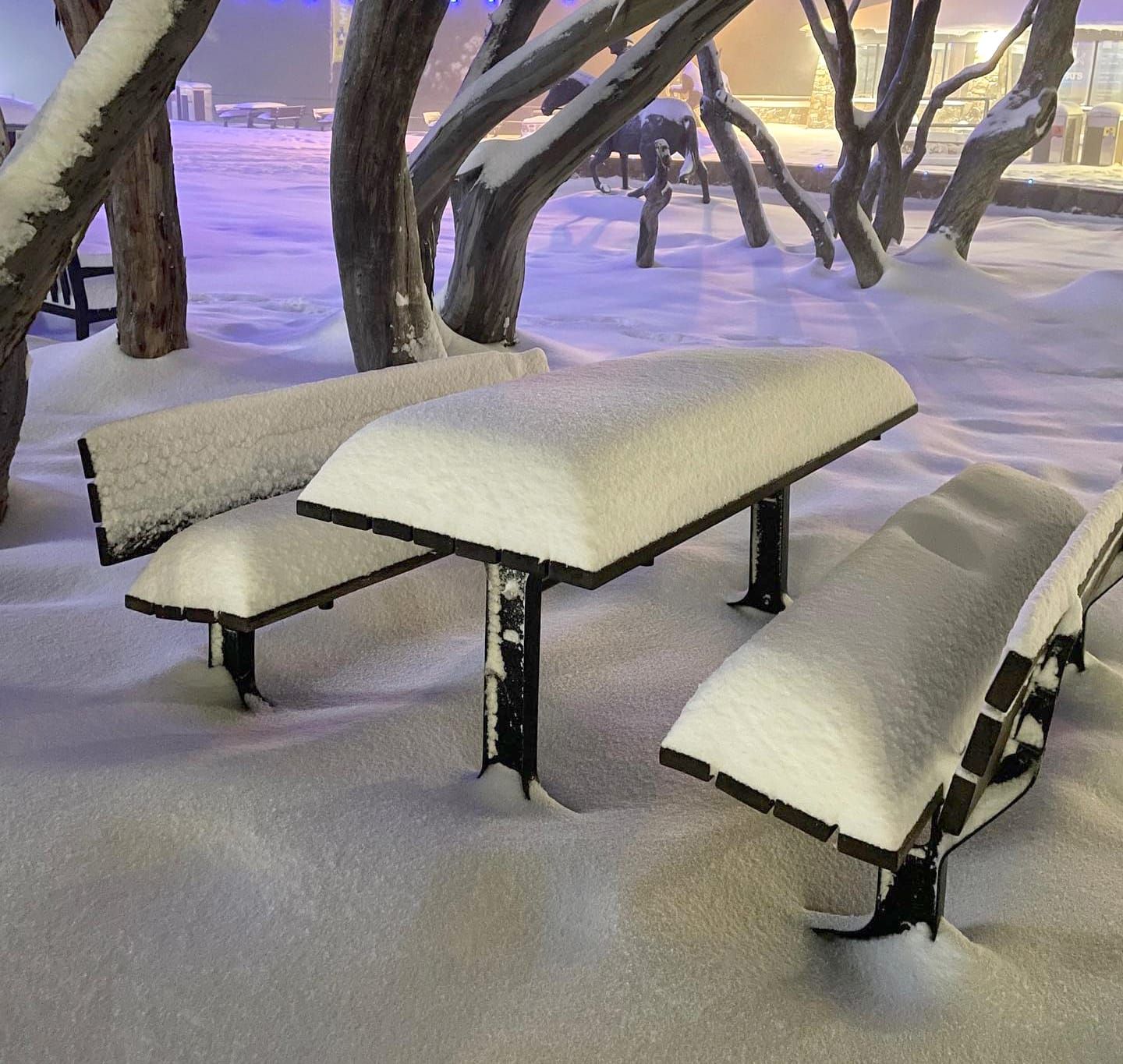 Mt Buller to open week early on Saturday 4 June Post image