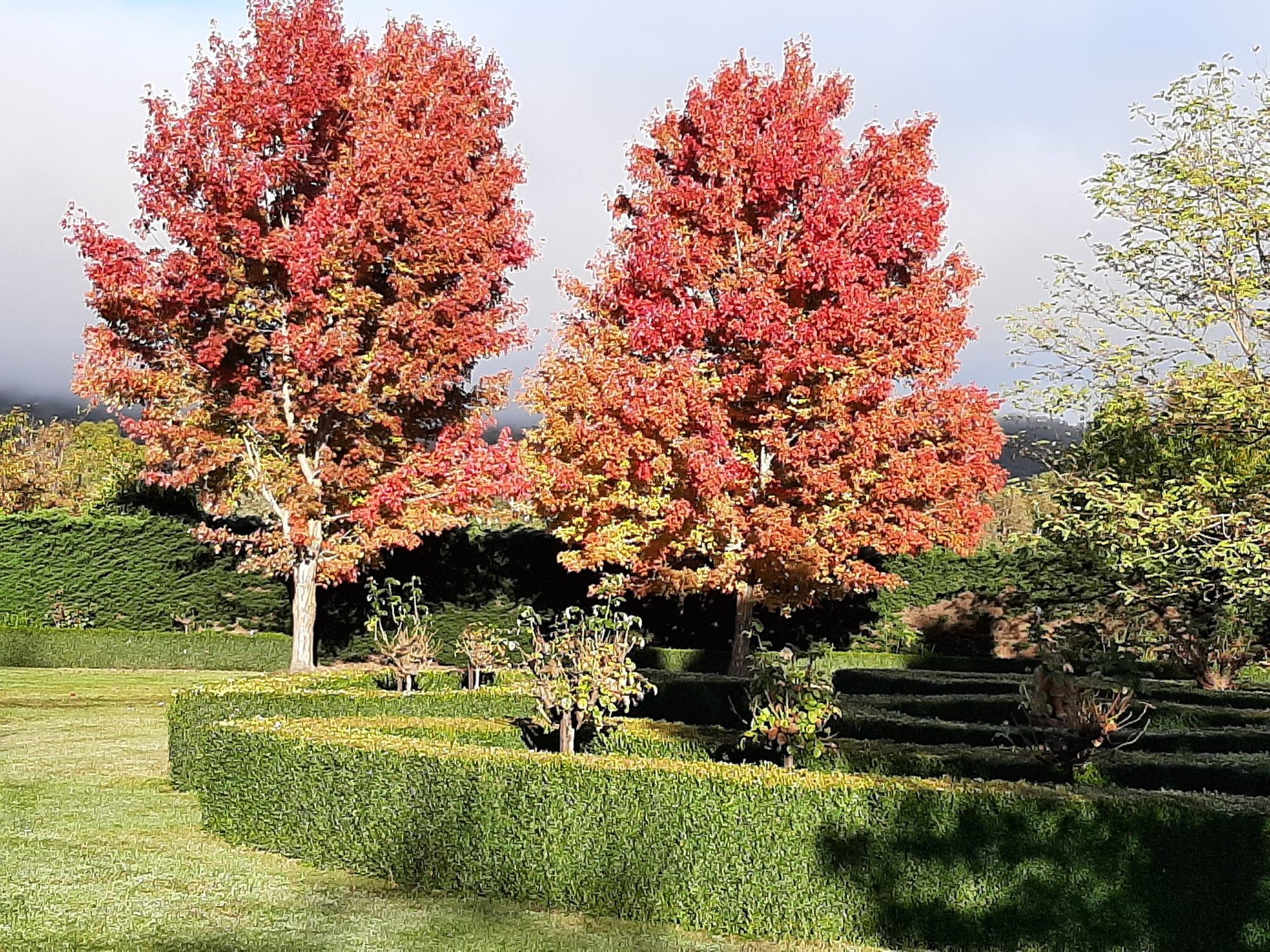 Where else would you be this autumn? Post image