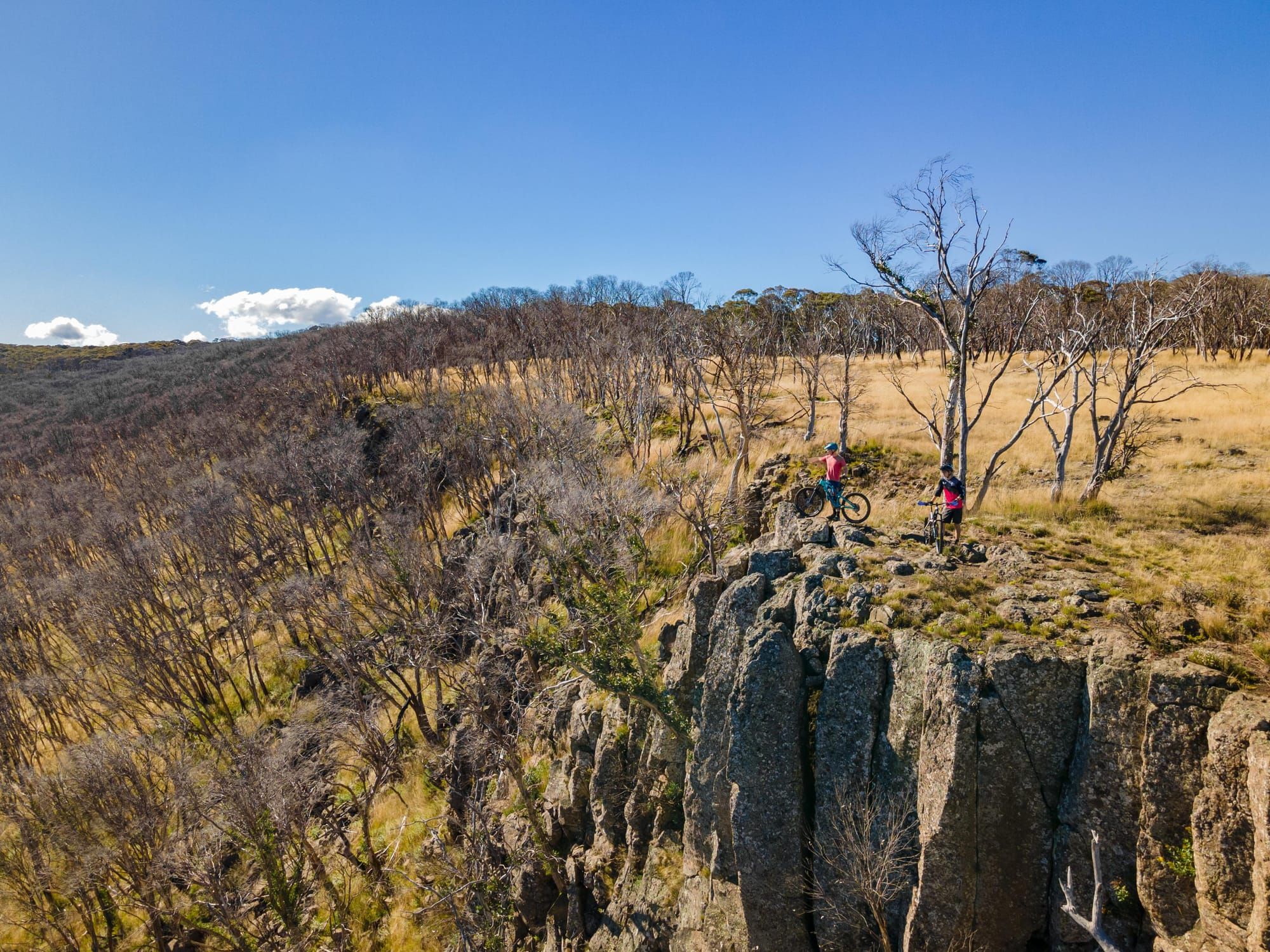 Put Dinner Plain on your wish list this autumn Post image
