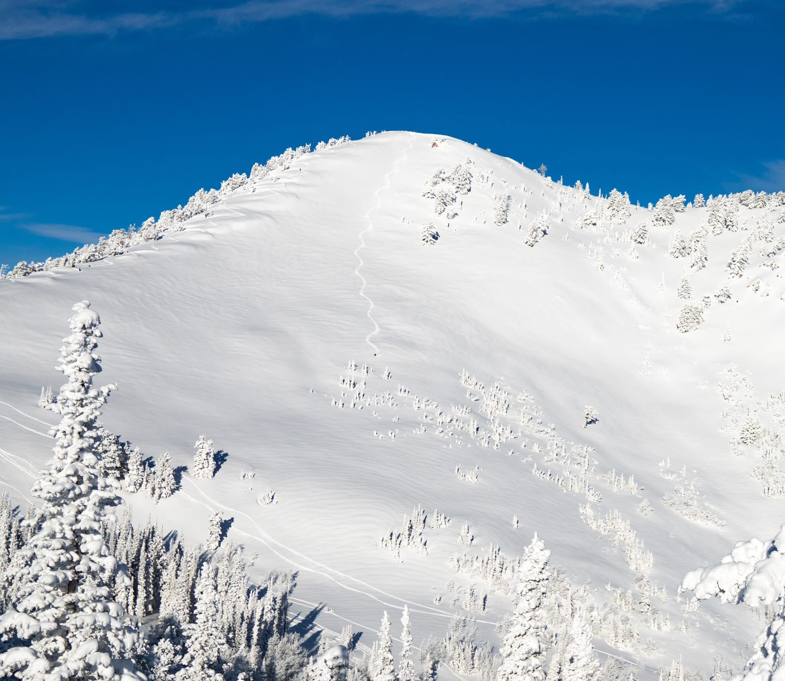 Independent Ski Resorts Buck Trend Post image