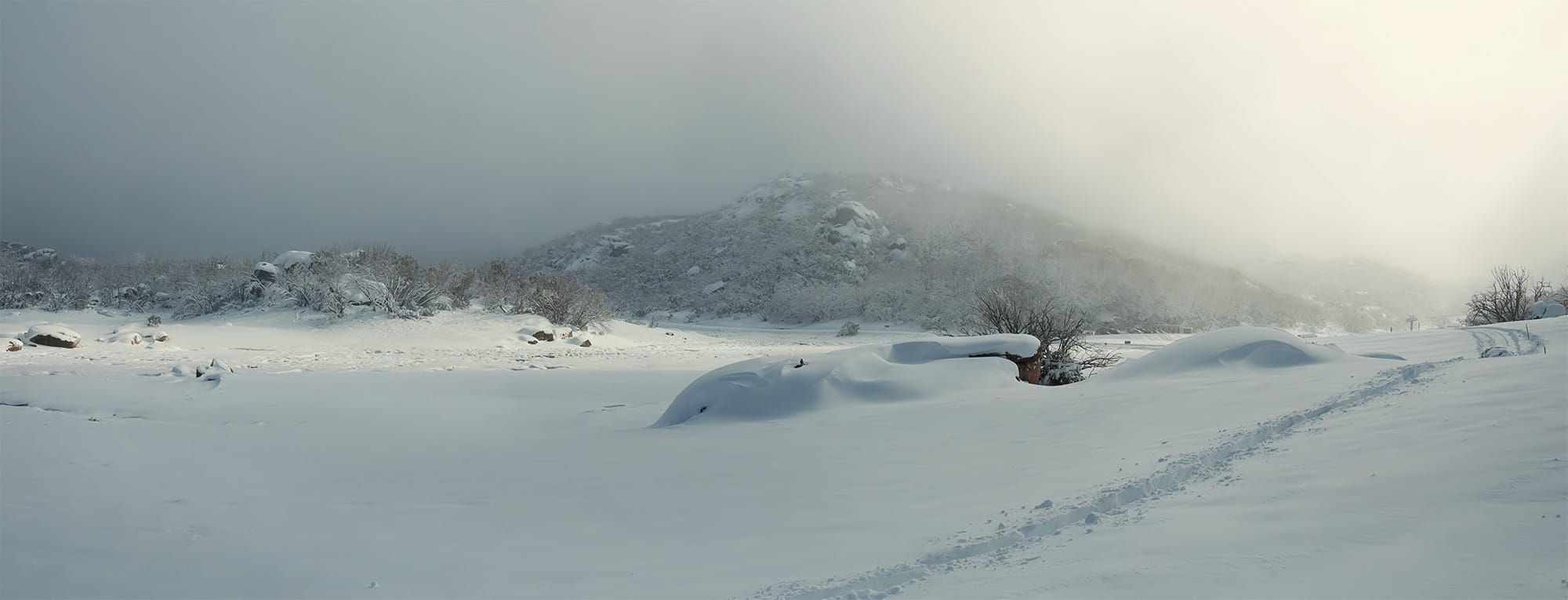 Snow play to be limited on Buffalo Post image