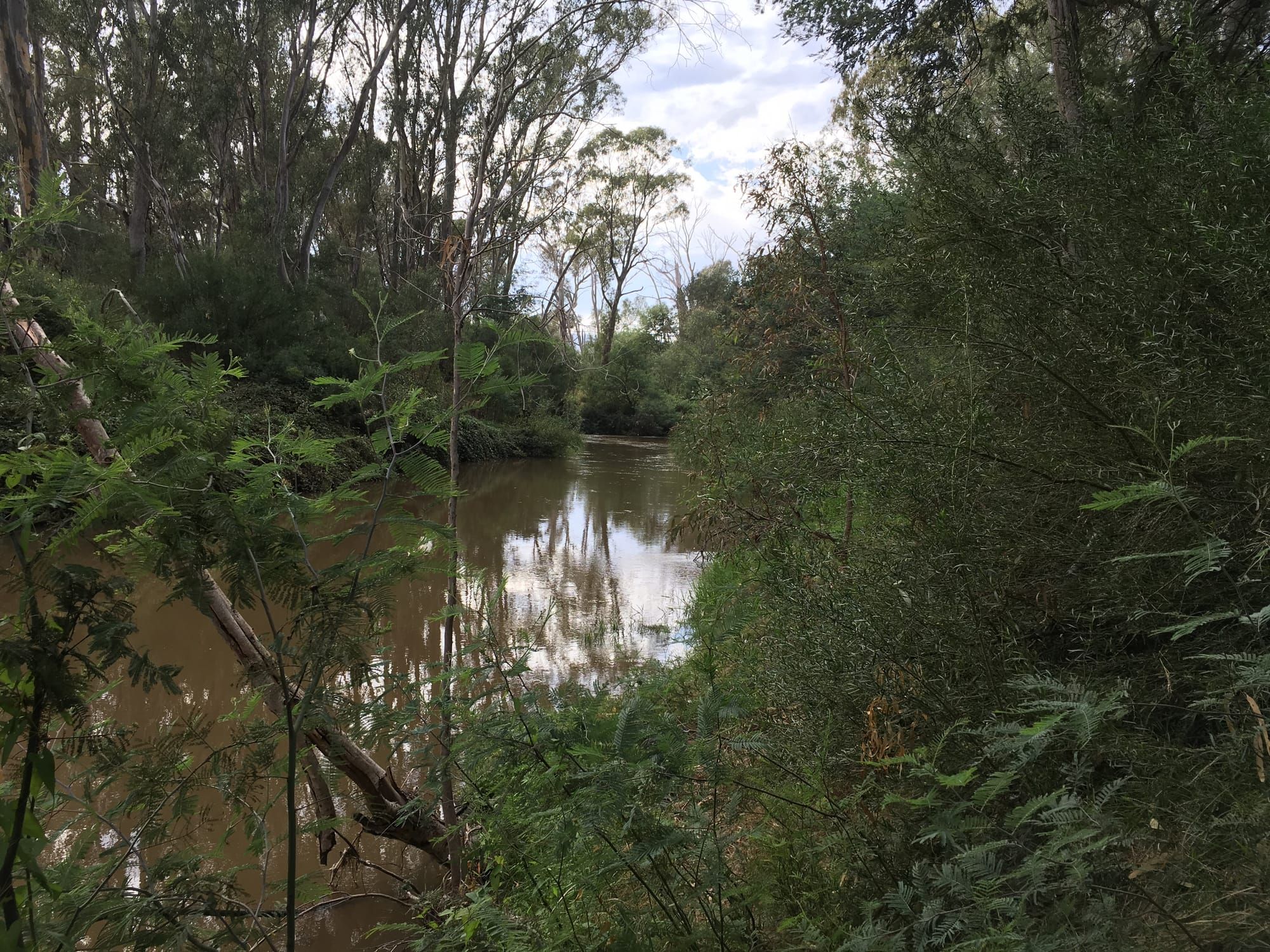 Lake Nillahcootie water to benefit Broken River wildlife Post image