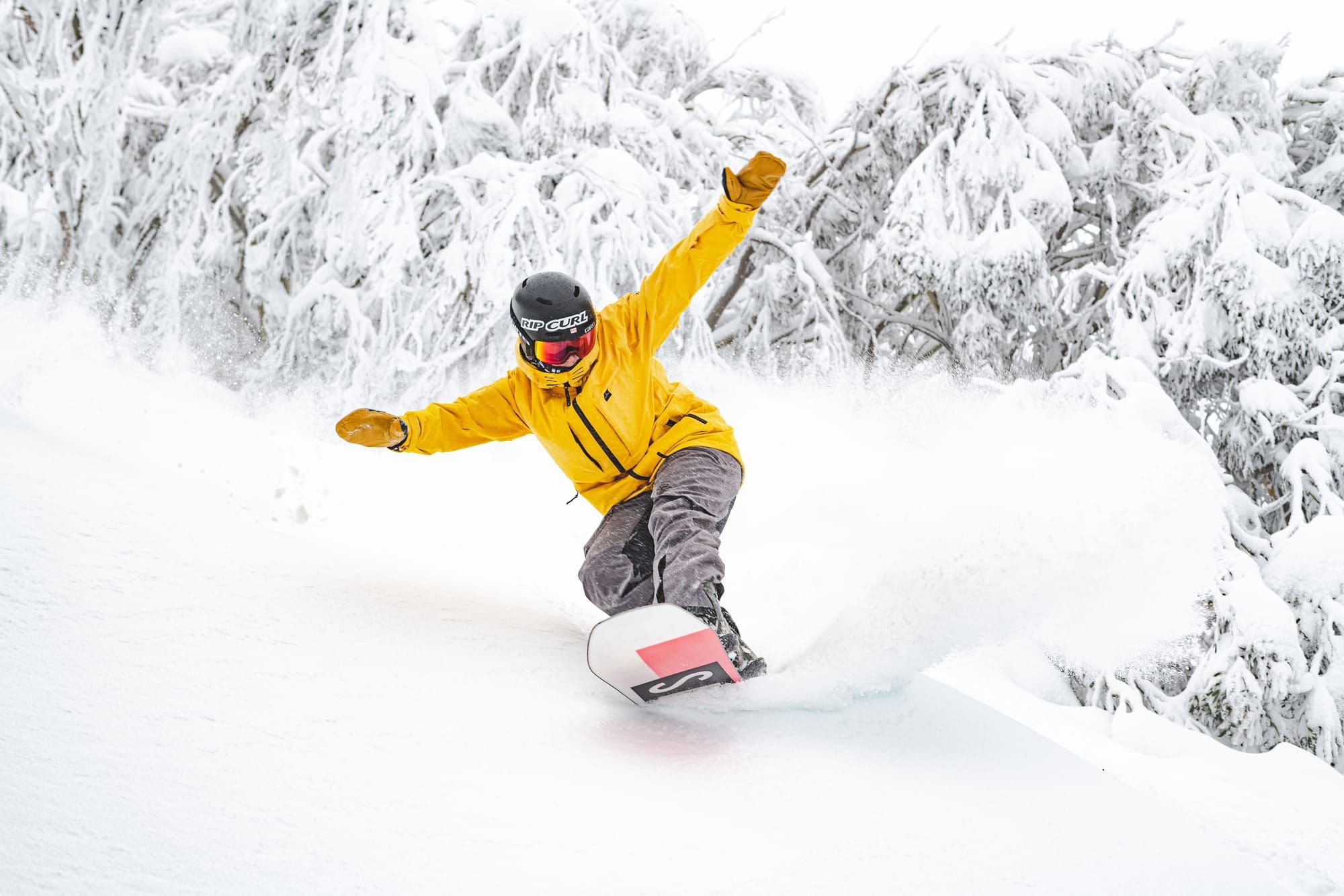 Out and about on fresh snow Post image