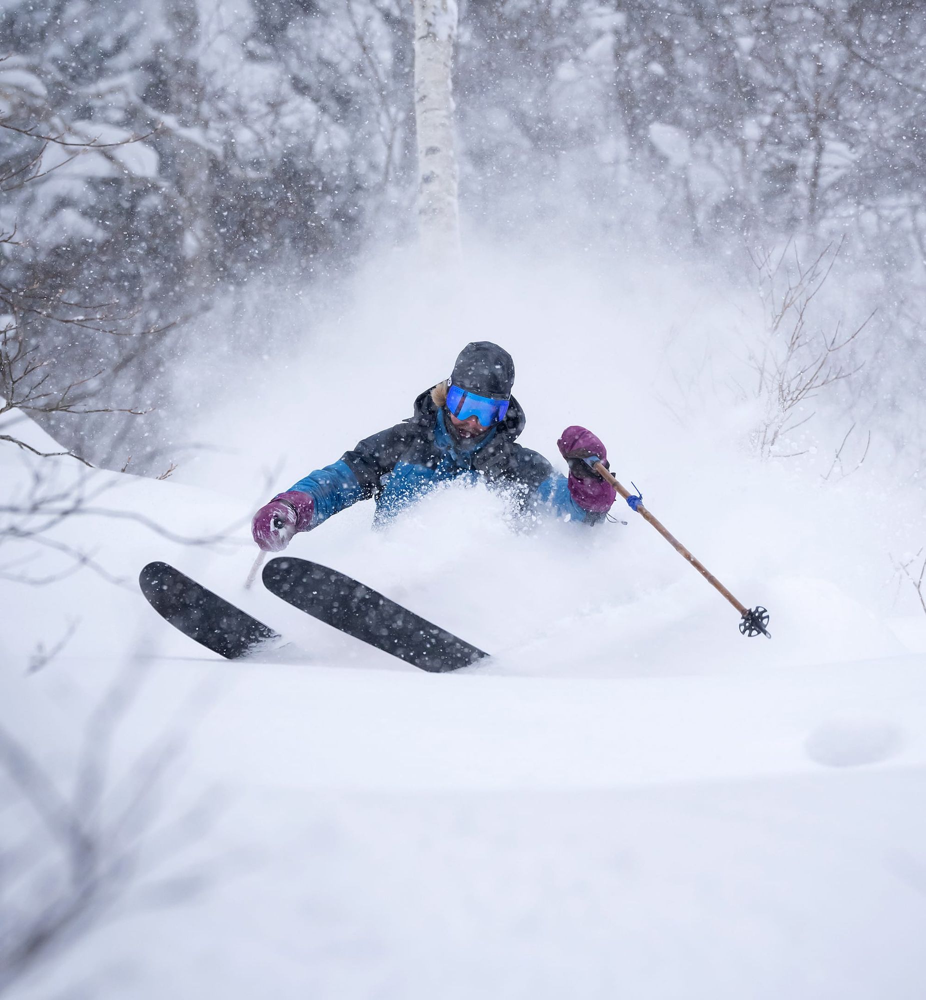 Desert Skis- New Ski Brand As Unique As Aussie Echidna Post image