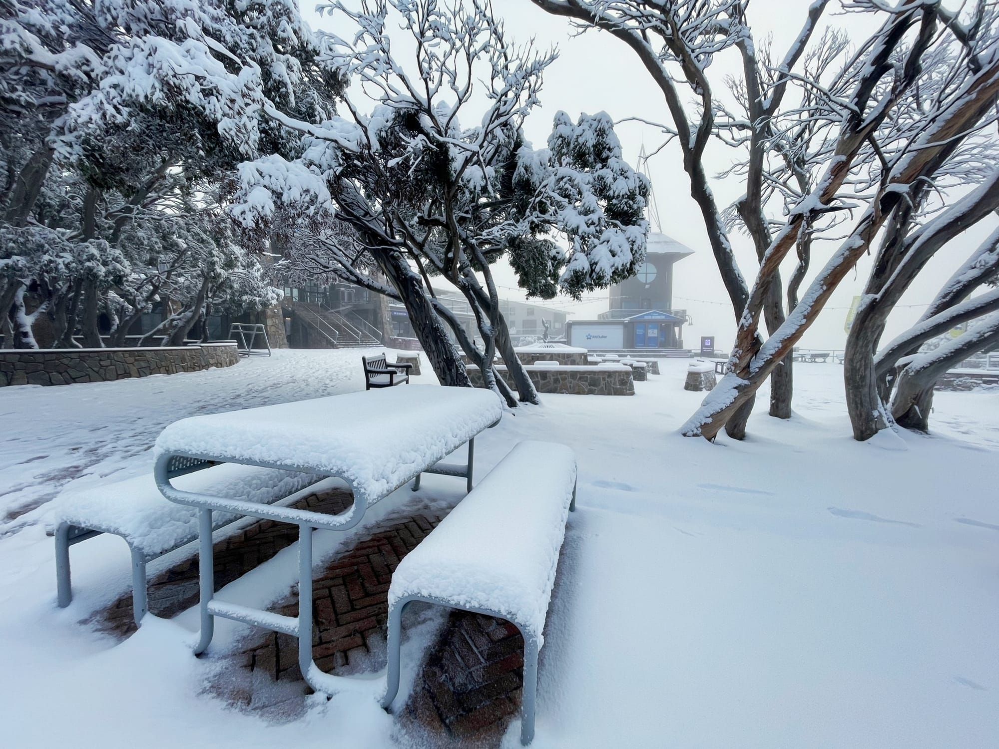 Snow hits Buller and Stirling Post image