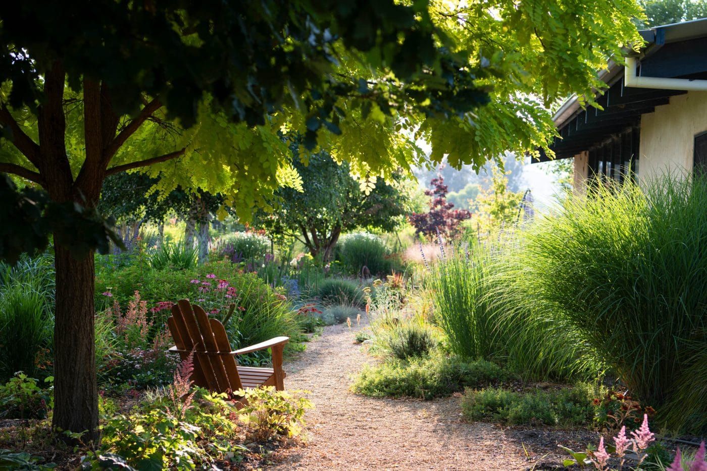 'Broken River Beauties' to go on display Post image
