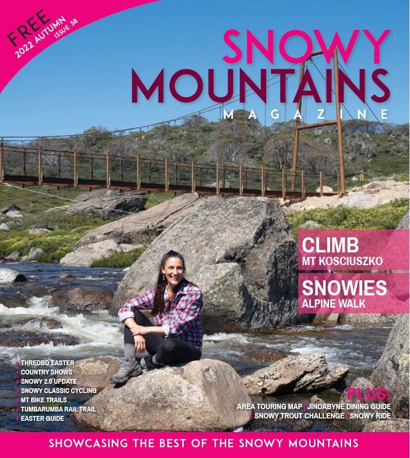 2022 Autumn Edition Post image