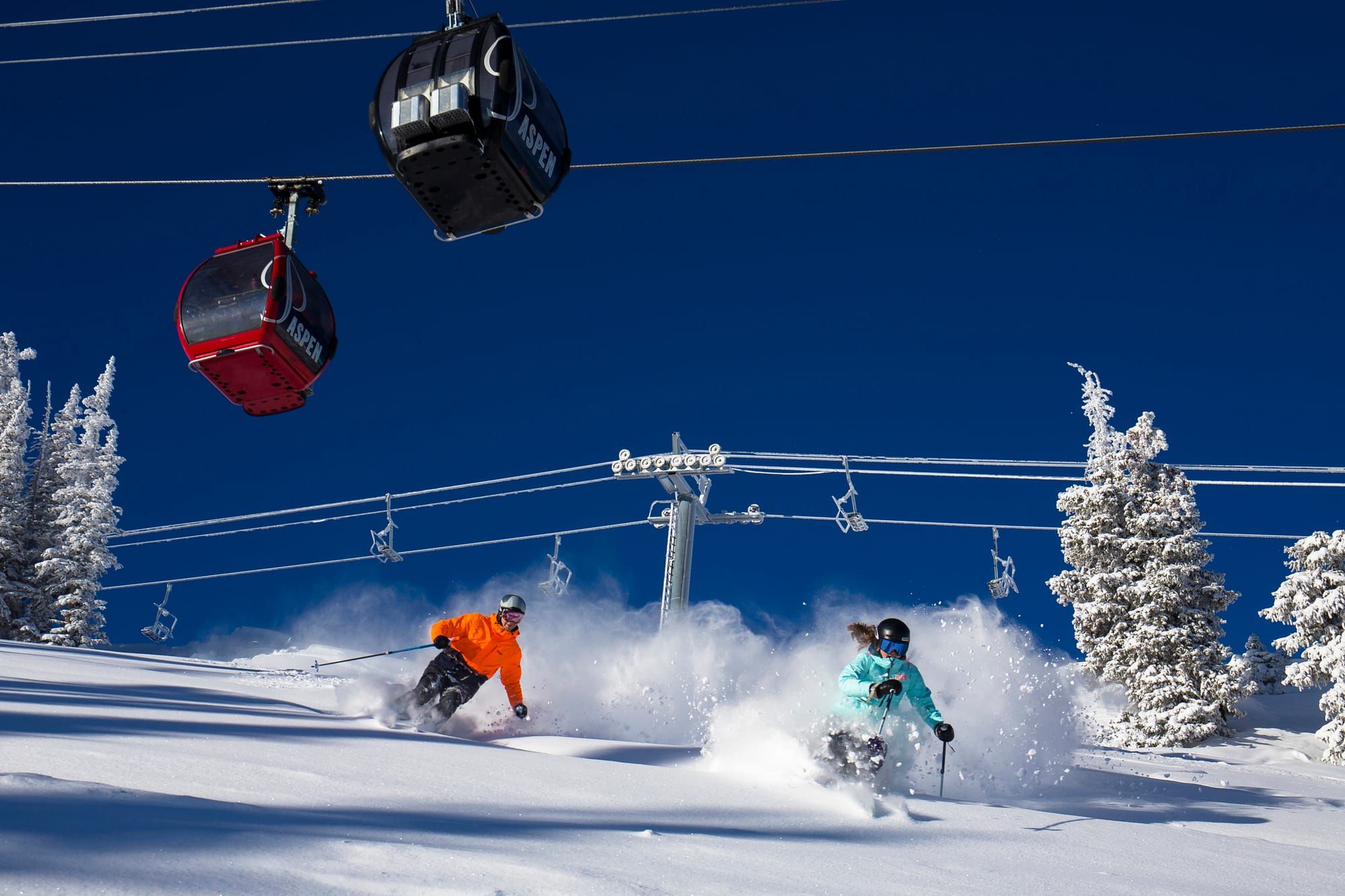 Visit the Snow Travel Expo Post image