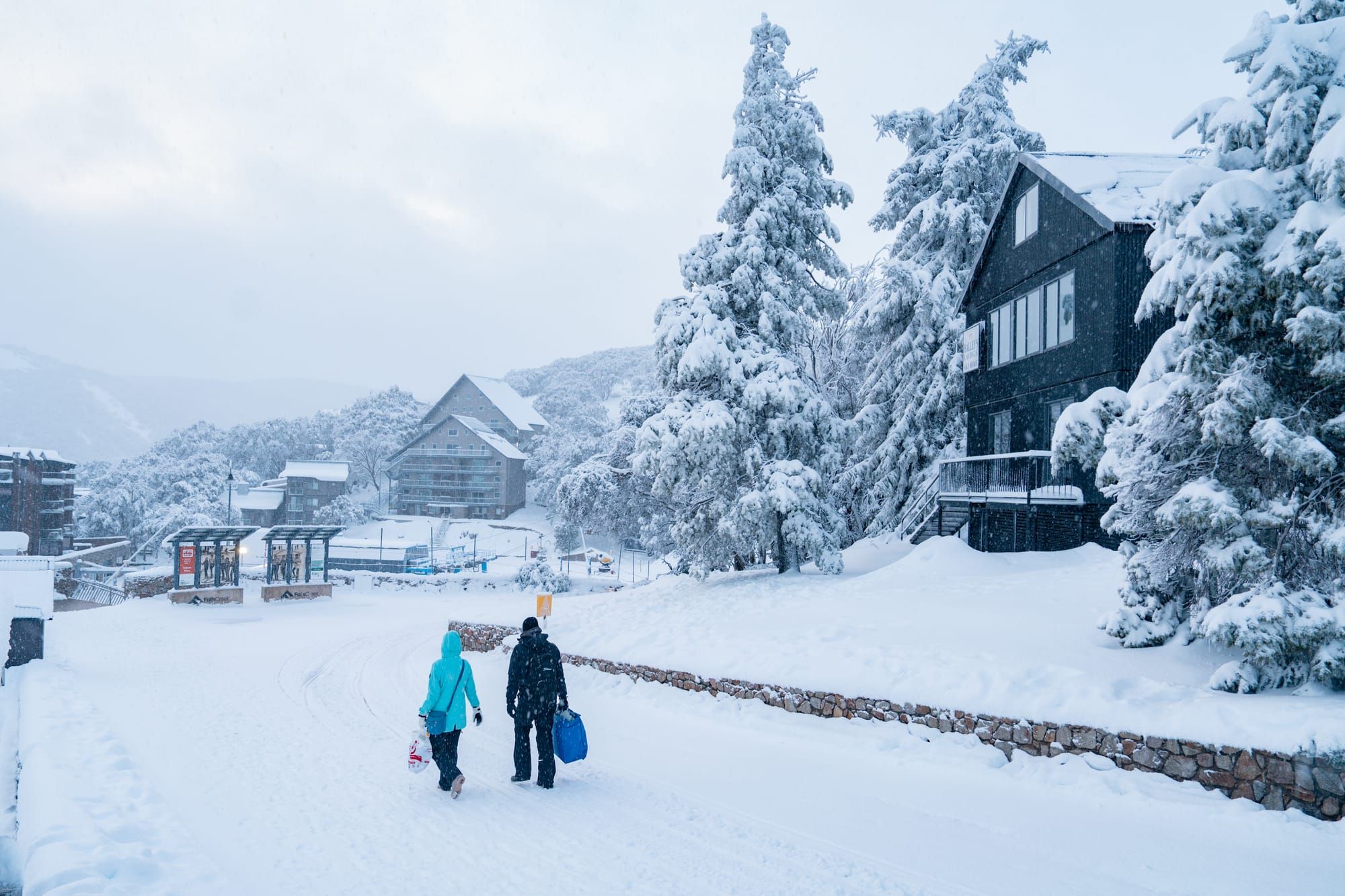 New strategic plan for Victoria's alpine sector a work in progress Post image