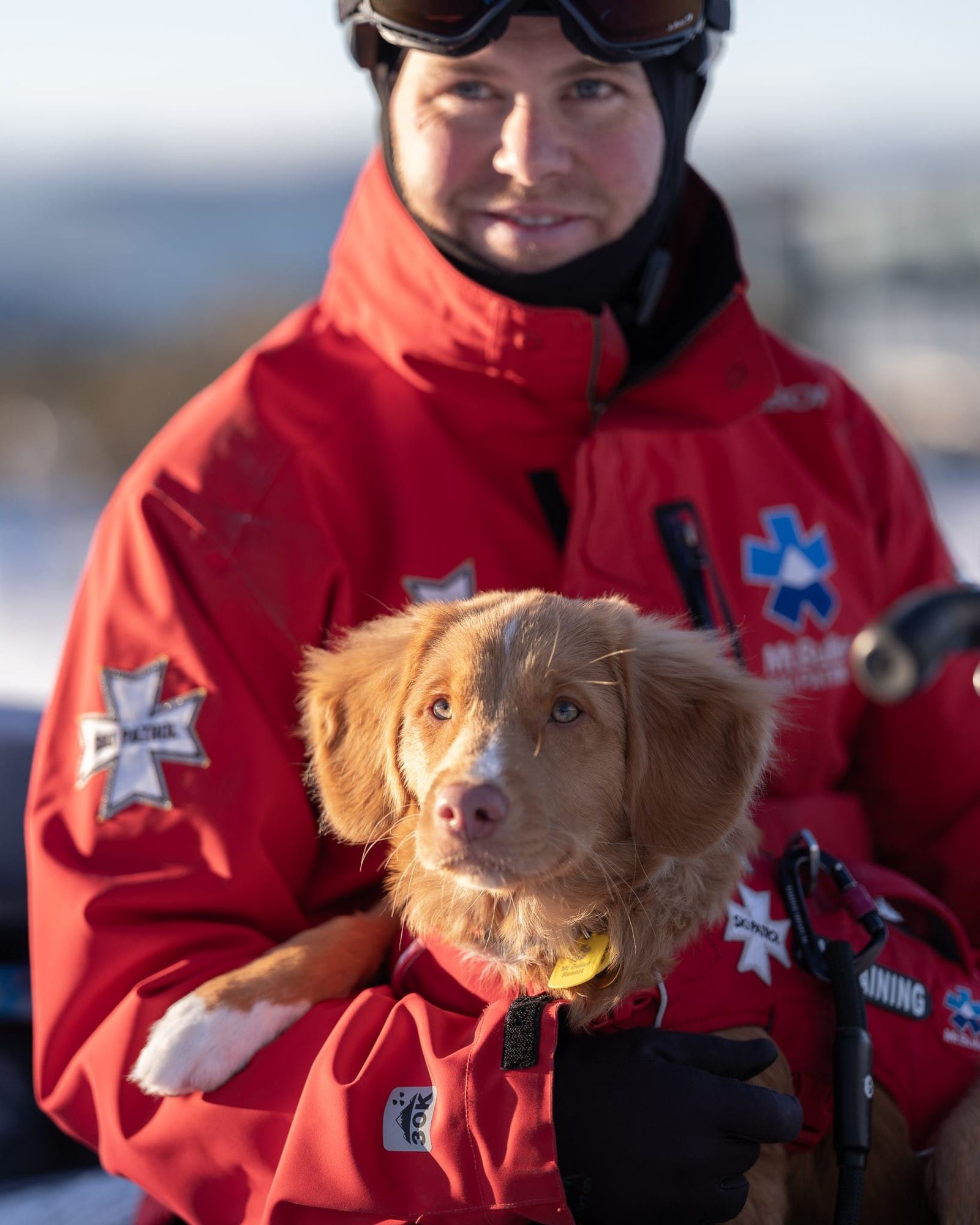 Meet a pup named Chilli Post image