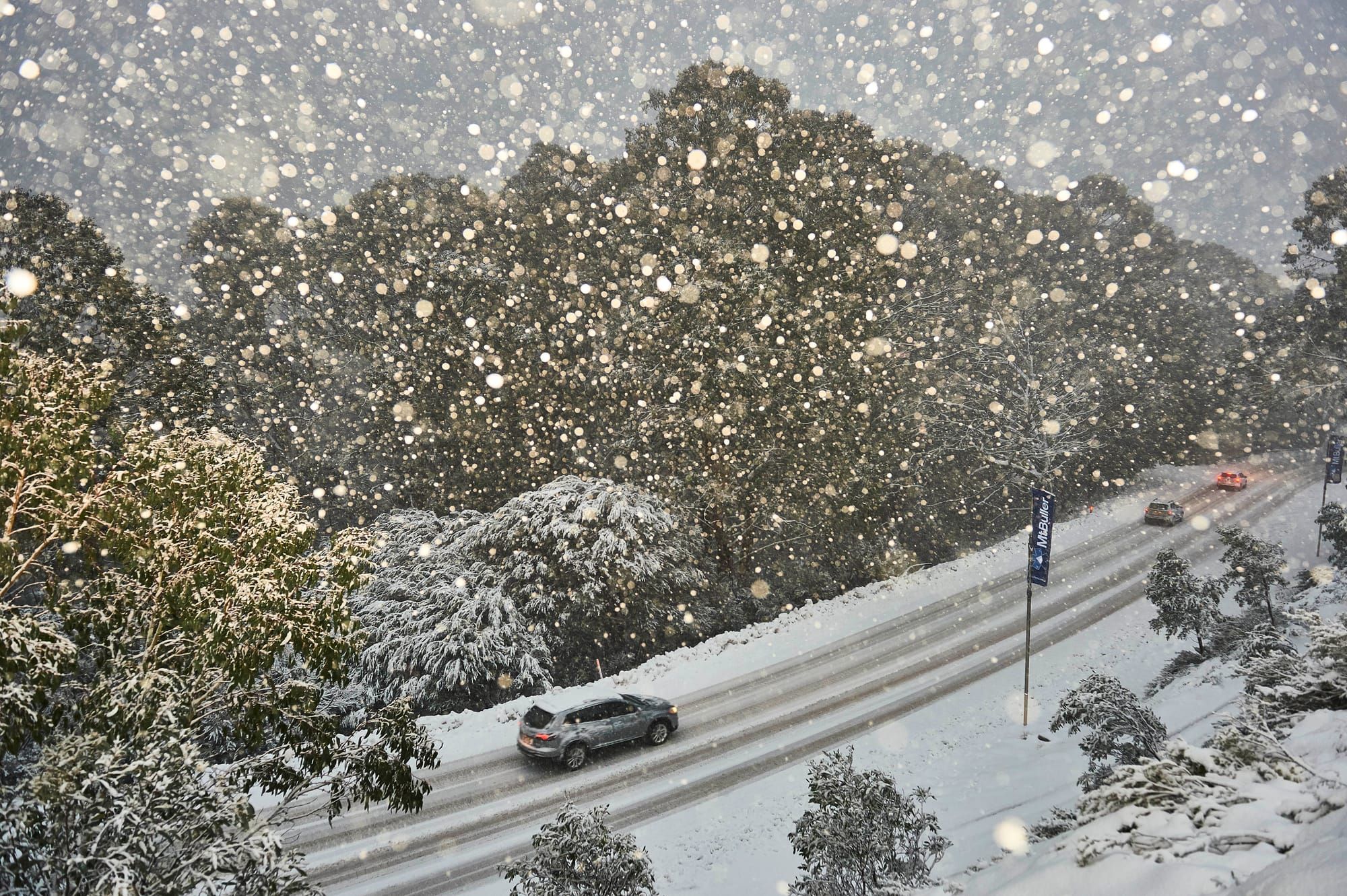 Check the forecast with Jane's weather Post image