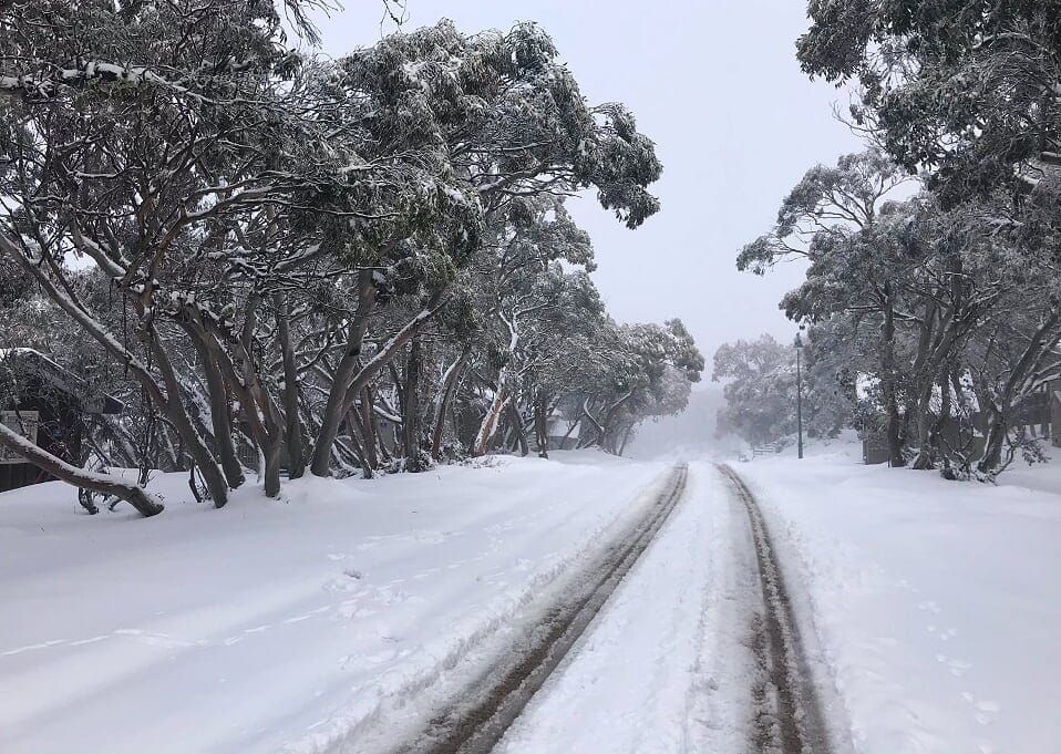 Mt Buller opens for day trippers only Post image