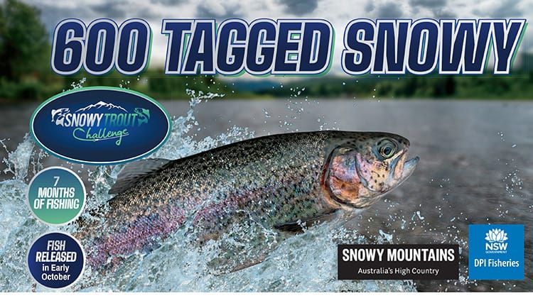 2024-25 Snowy Trout Challenge Post image