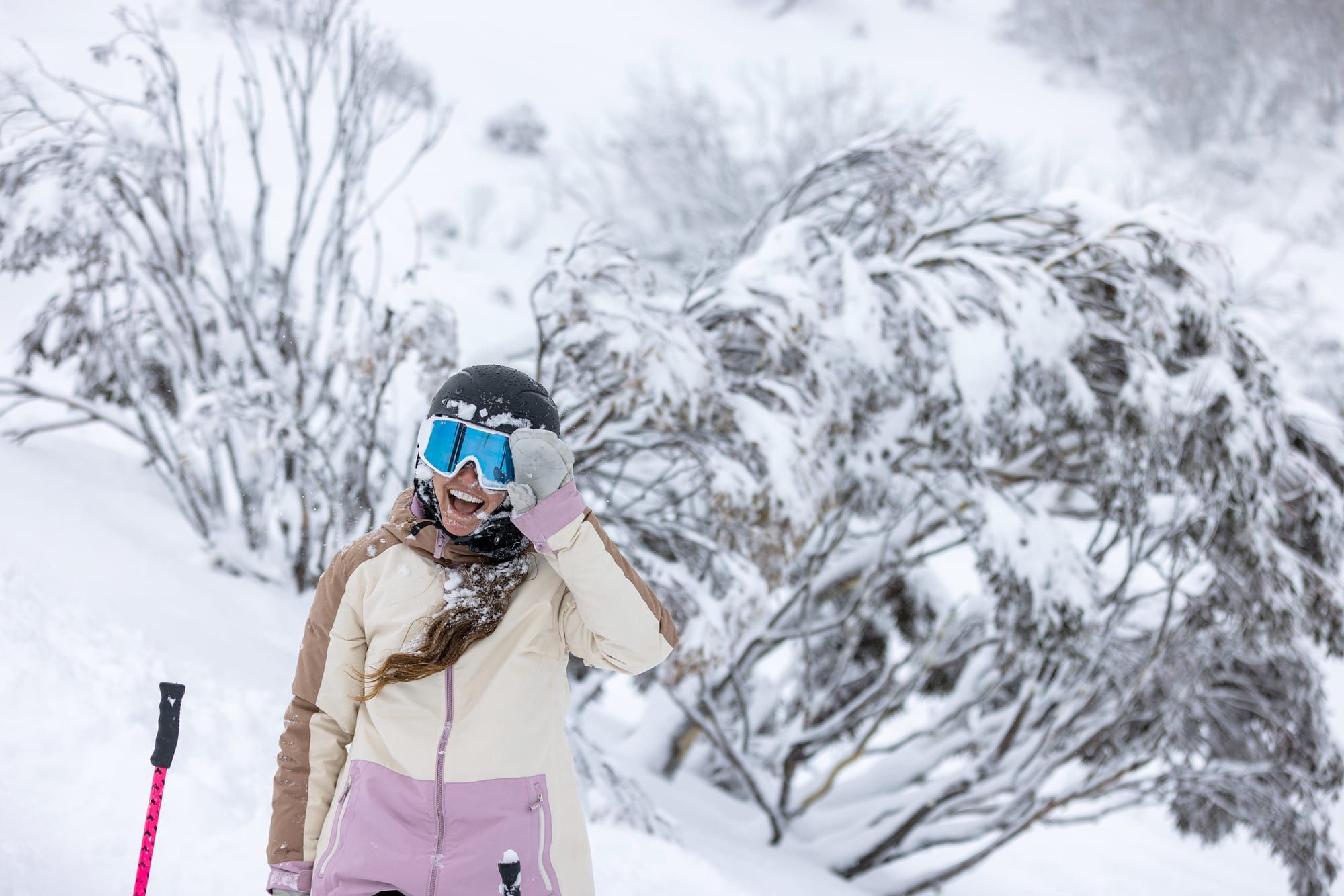 Savings Midweek and Early Bird Online Post image