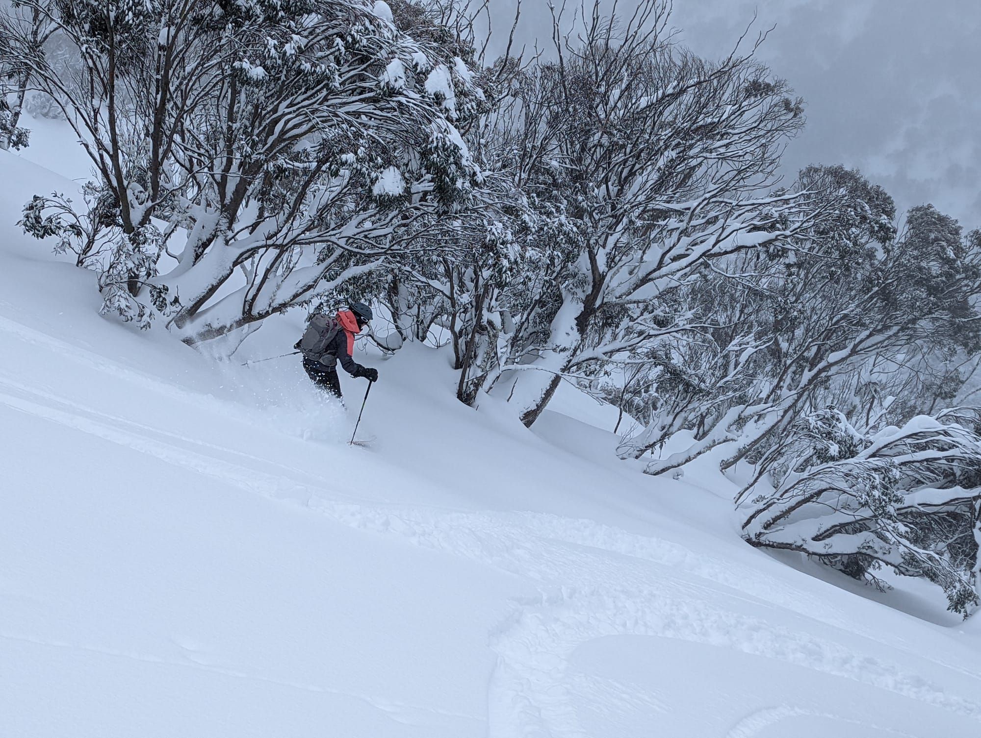 Tis the season to be jolly Post image