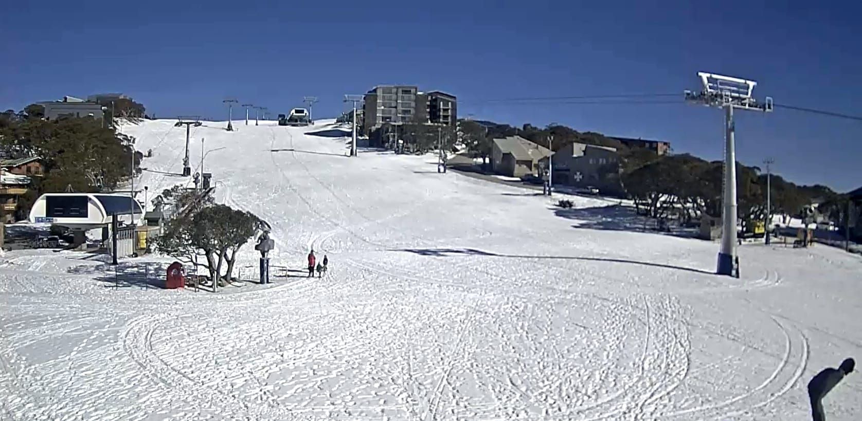 Buller gets put on ice Post image