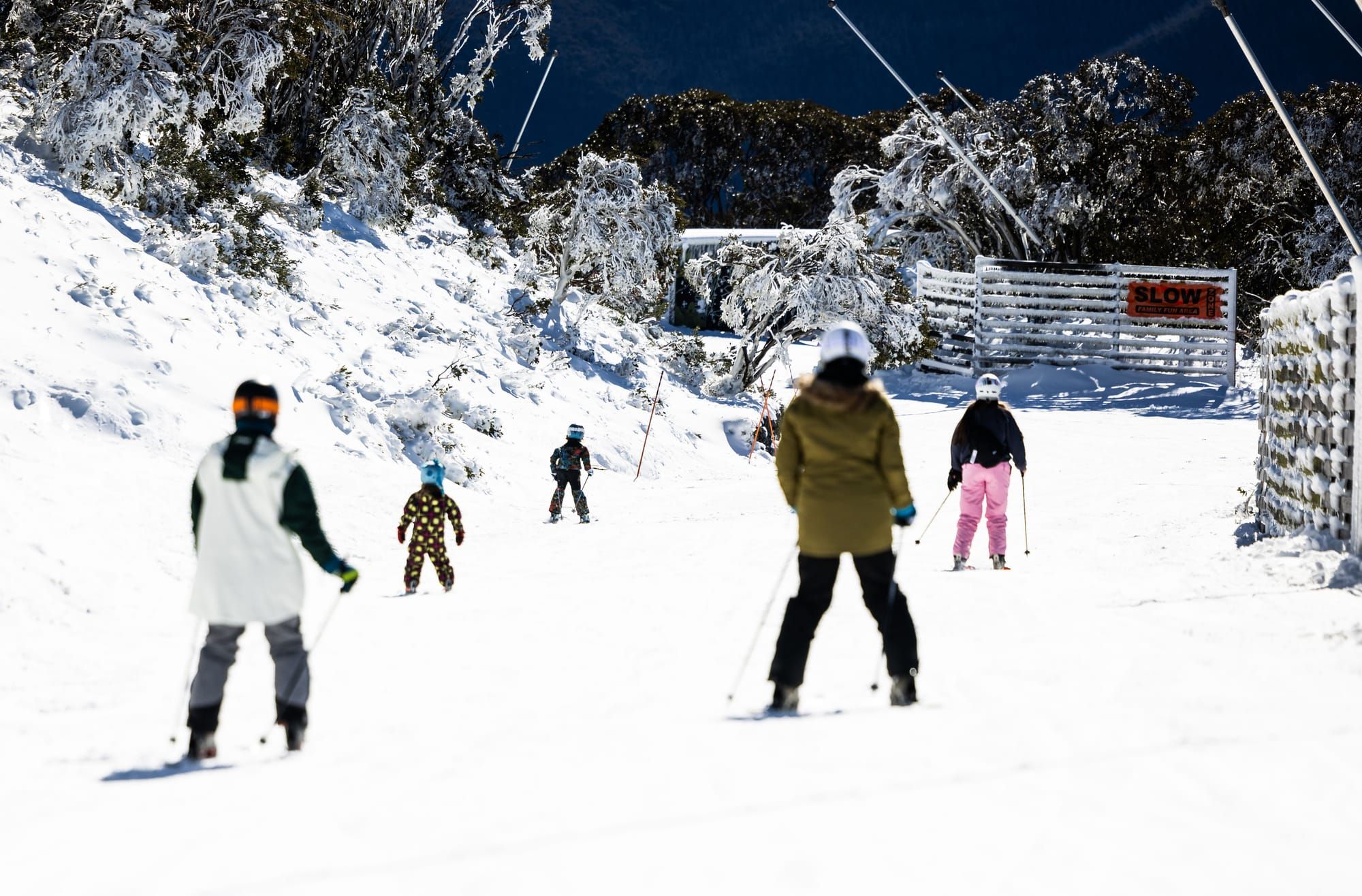 Shred the Stress: How skiing and snowboarding are the ultimate therapy sessions (with better views) Post image