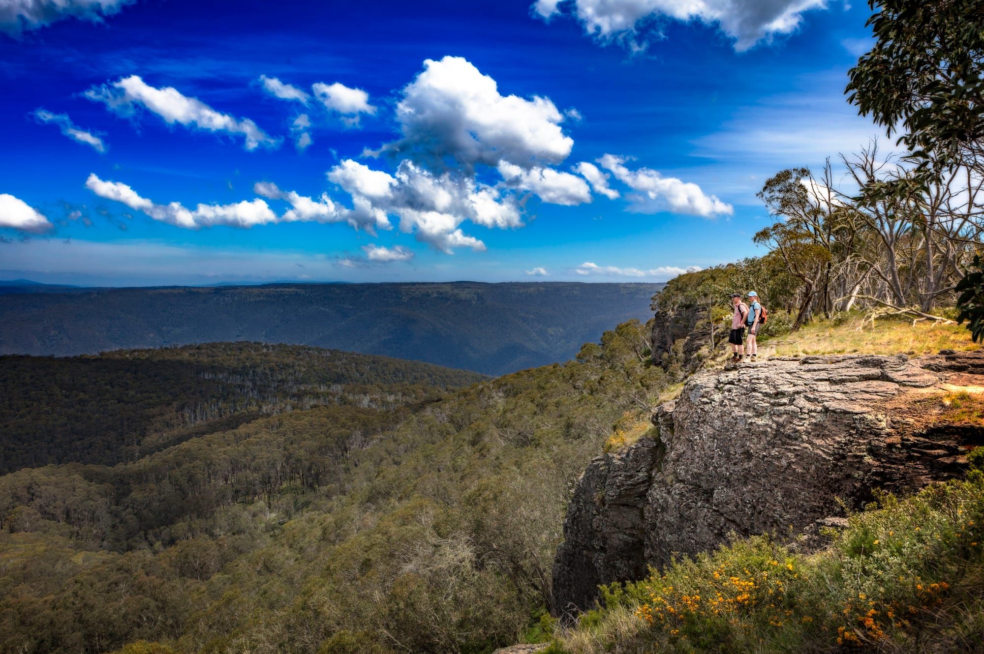 Dinner Plain Alpine Village – plan your summer retreat Post image