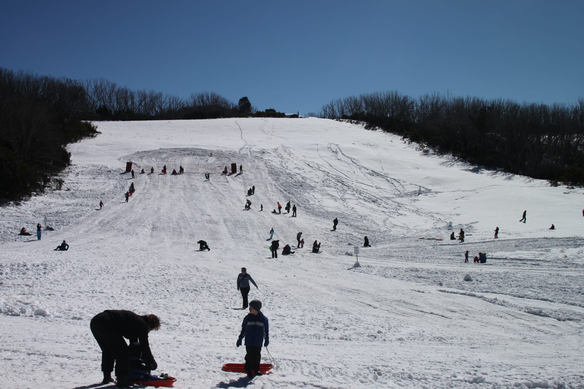 Toboggan runs open at Mt Buffalo Post image