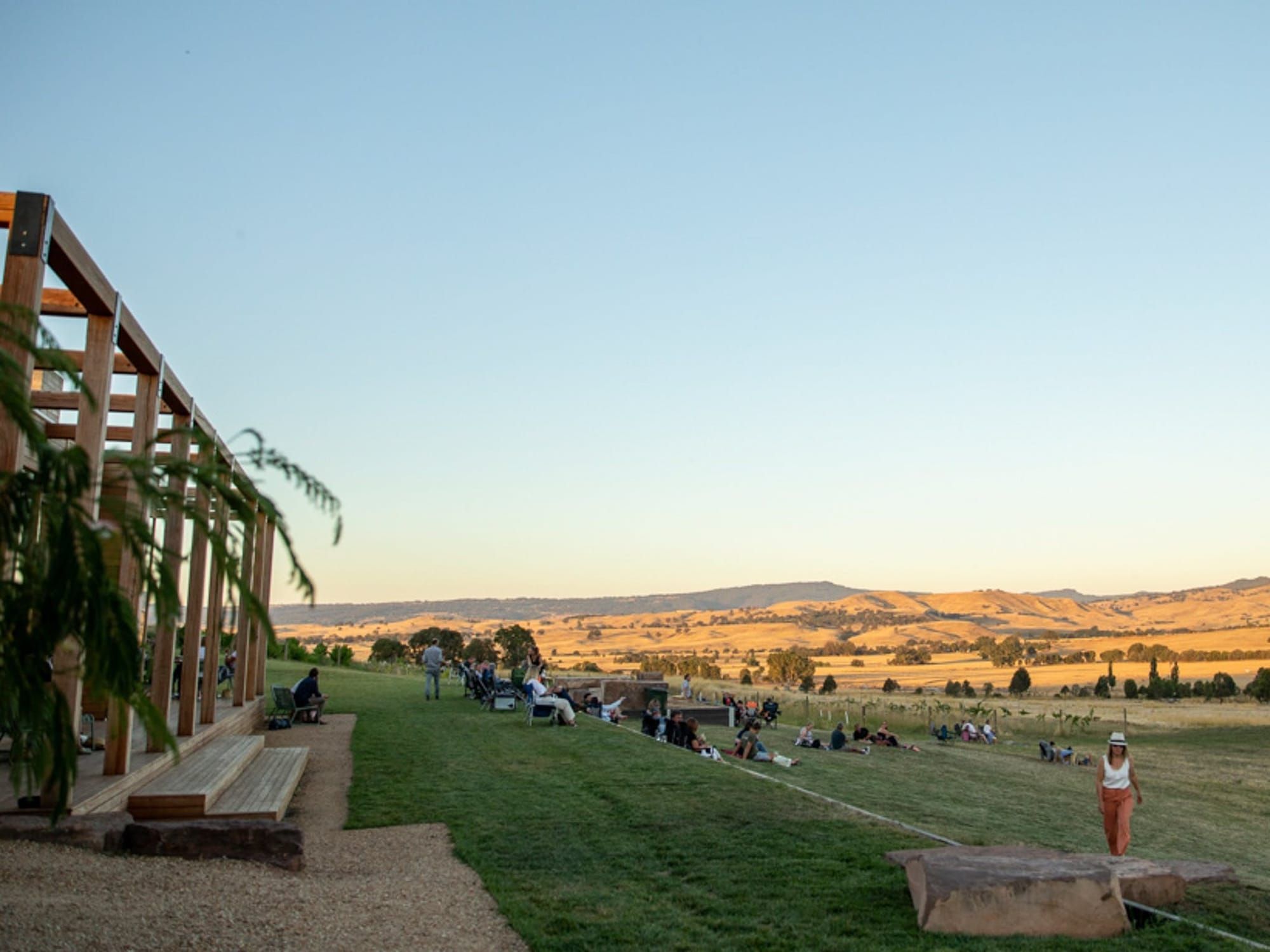 An afternoon of Music in the Vines Post image