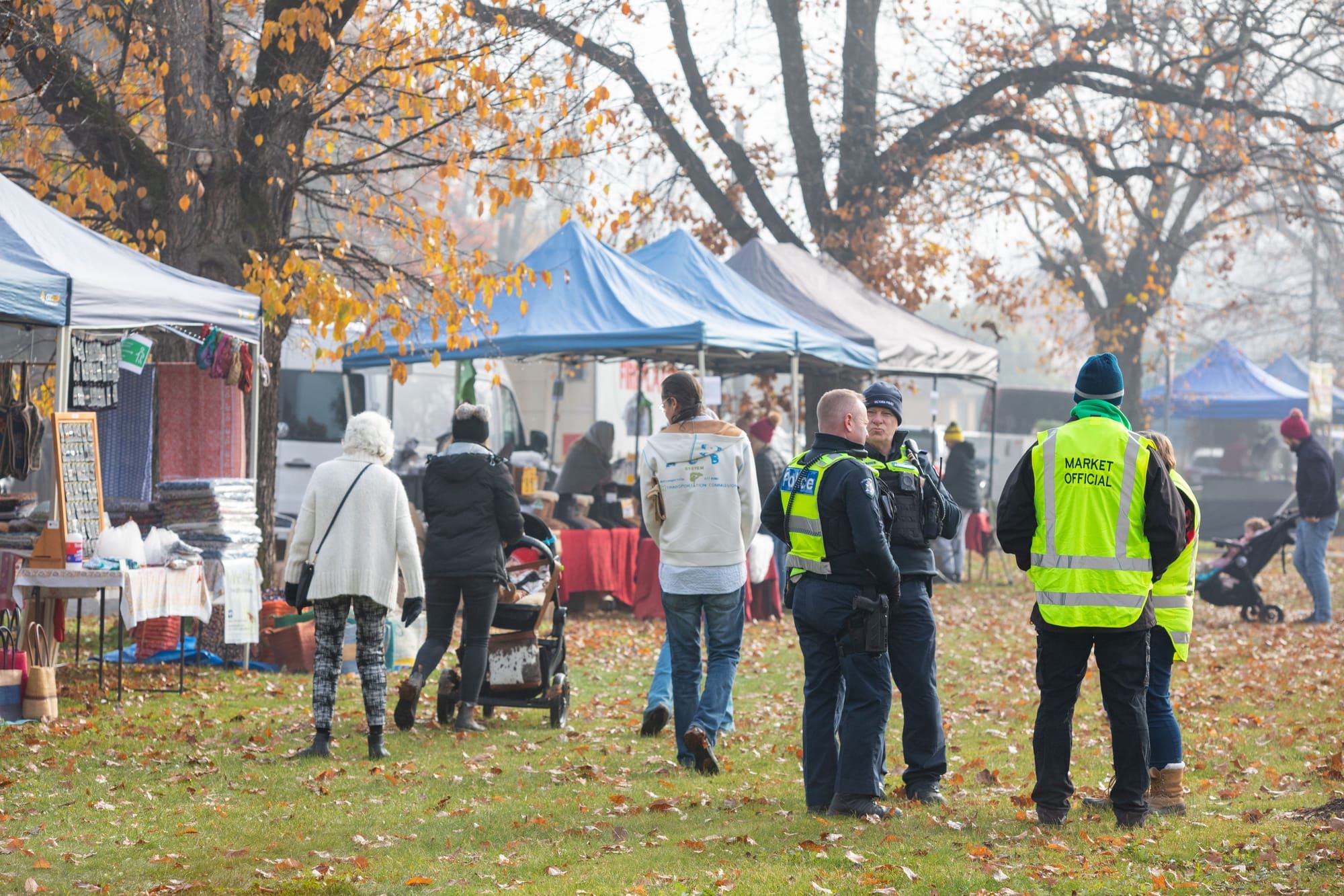 Mansfield comes alive again Post image