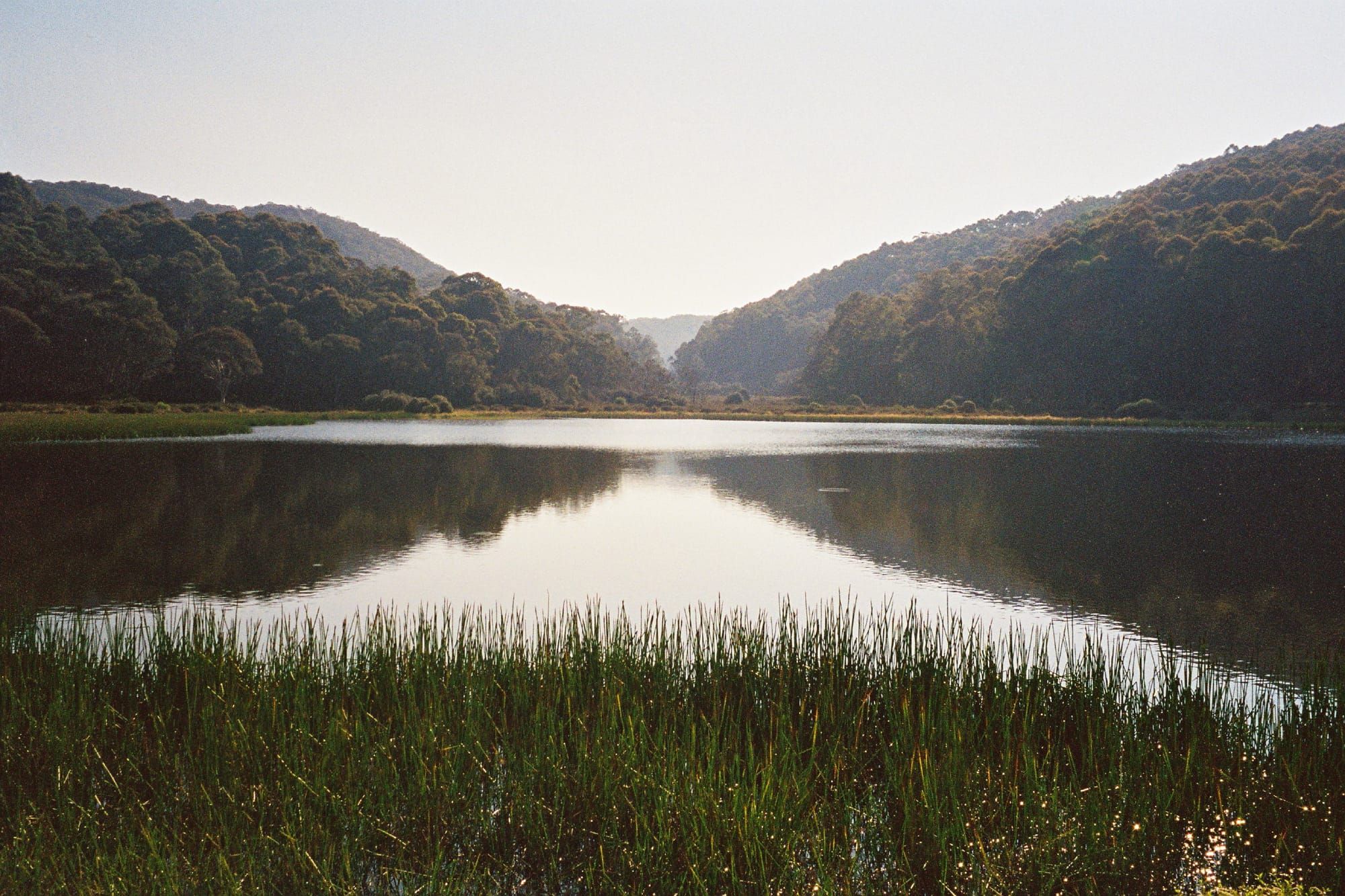 Mount Buffalo reopens Post image