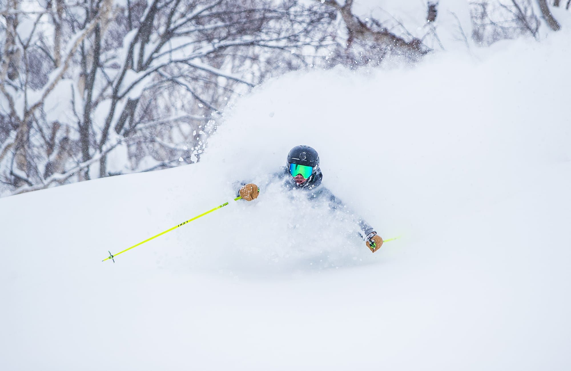 Japan re-opens for independent travellers Post image