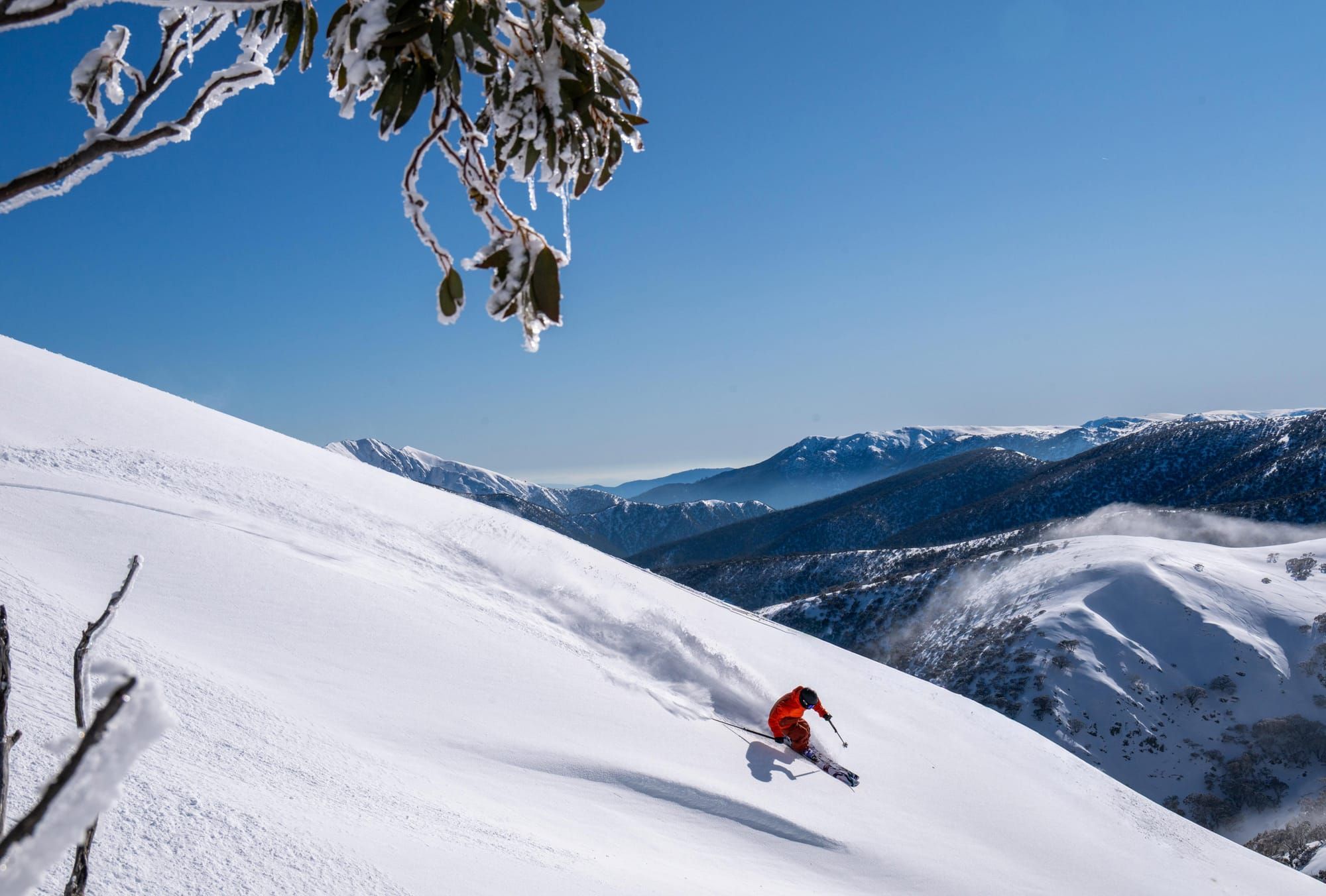 Spring fun in sun Post image