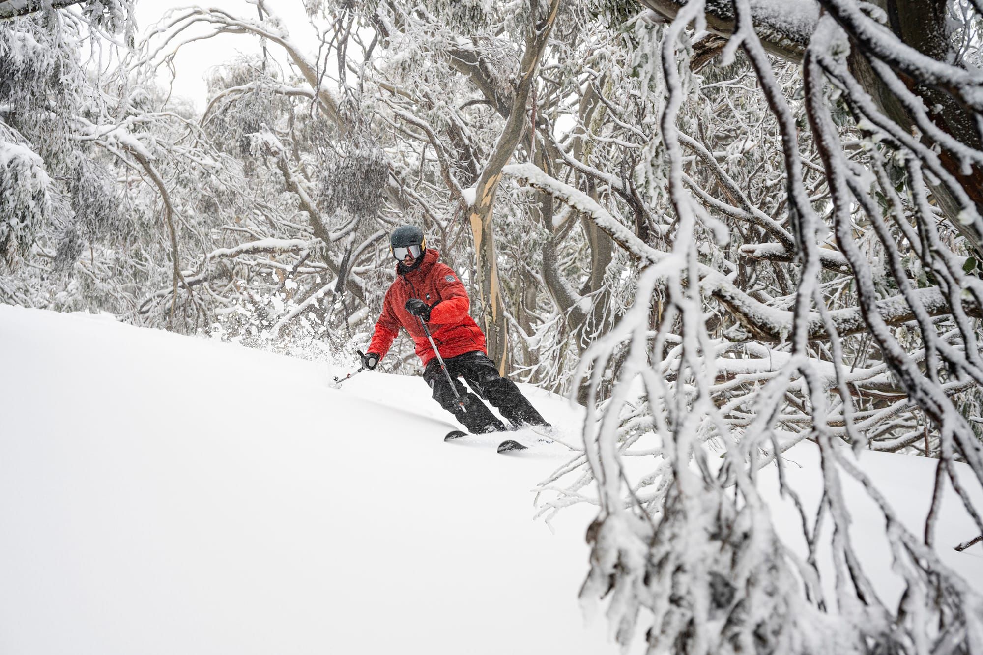 Buller blanketed with September snowfall Post image