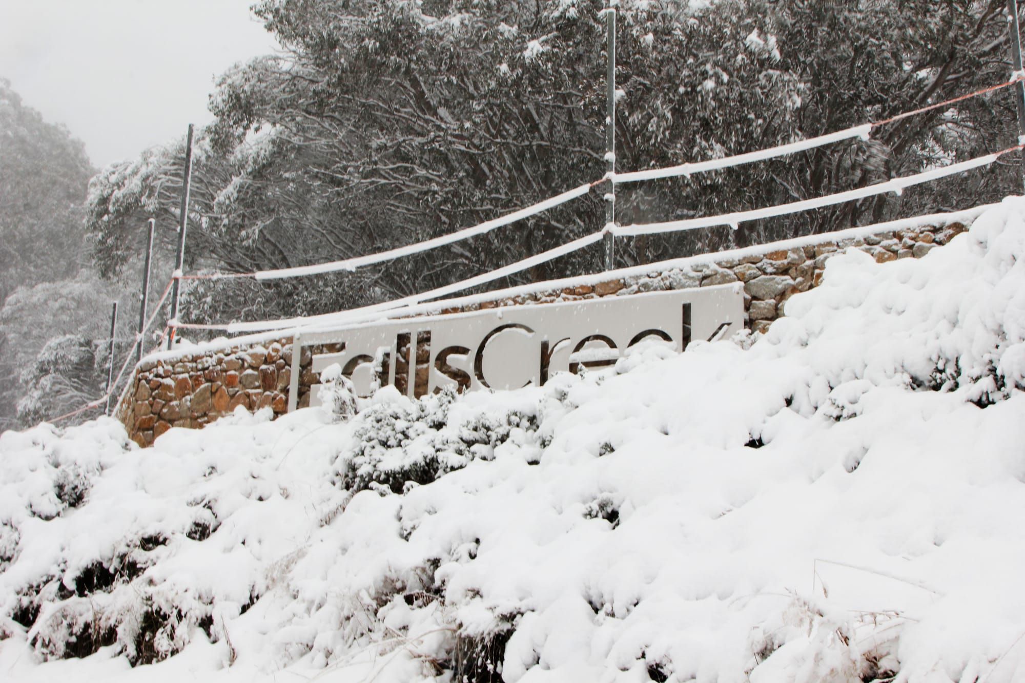 Falls Creek is certainly back in action Post image