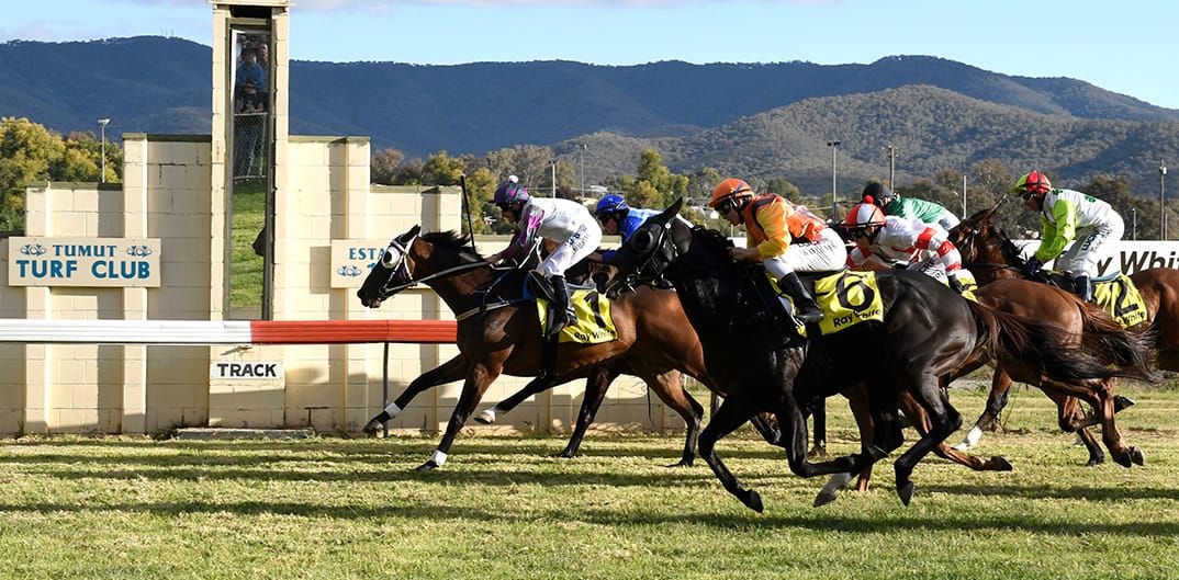 Tumut Races January 14 Post image