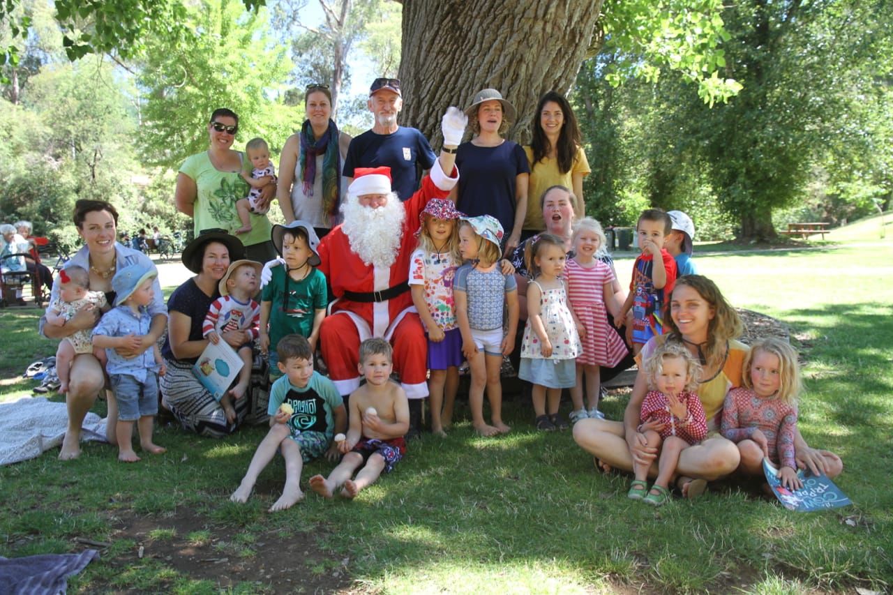 Brumby numbers run wild Post image