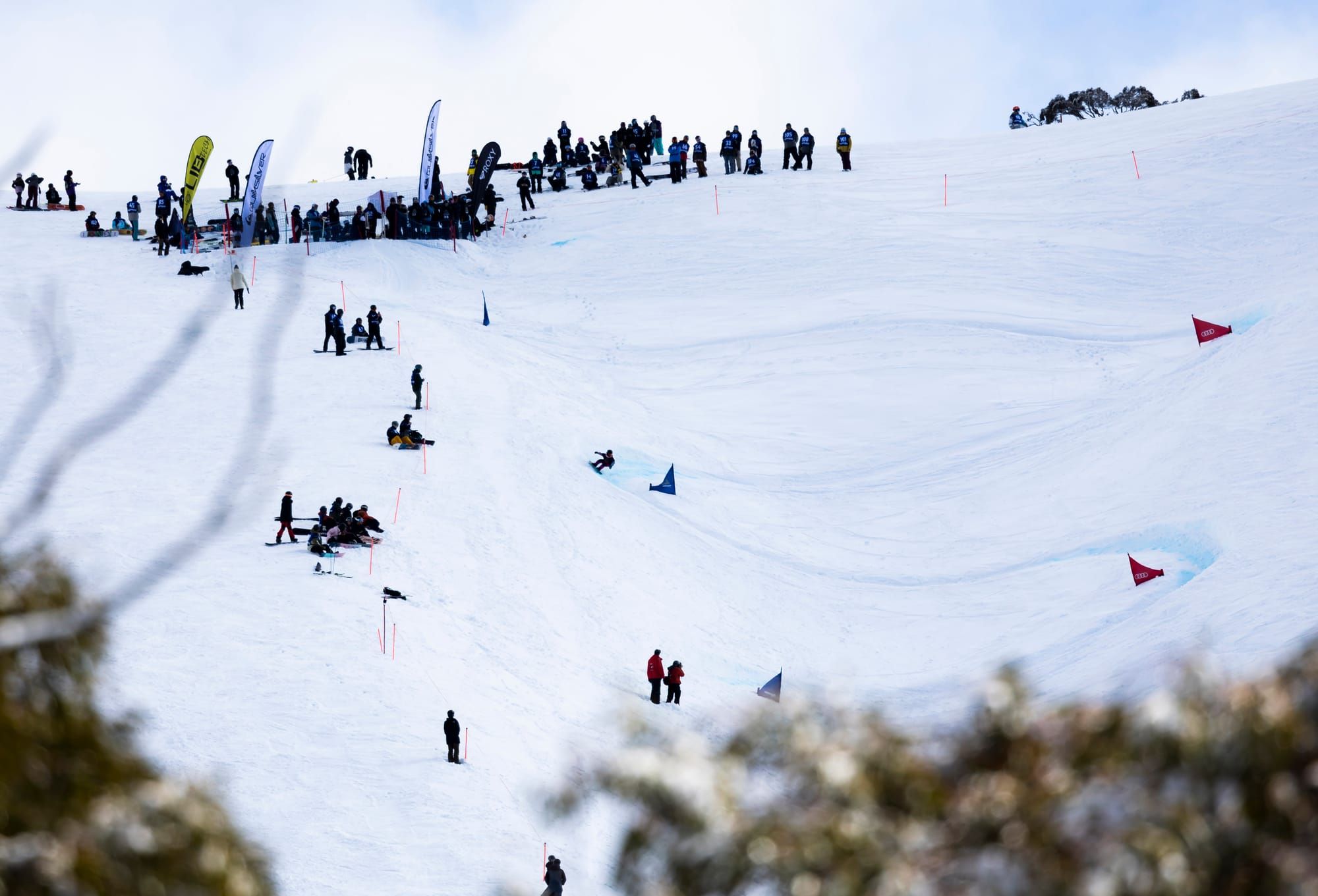 What’s On this August at Falls Creek and Hotham Post image
