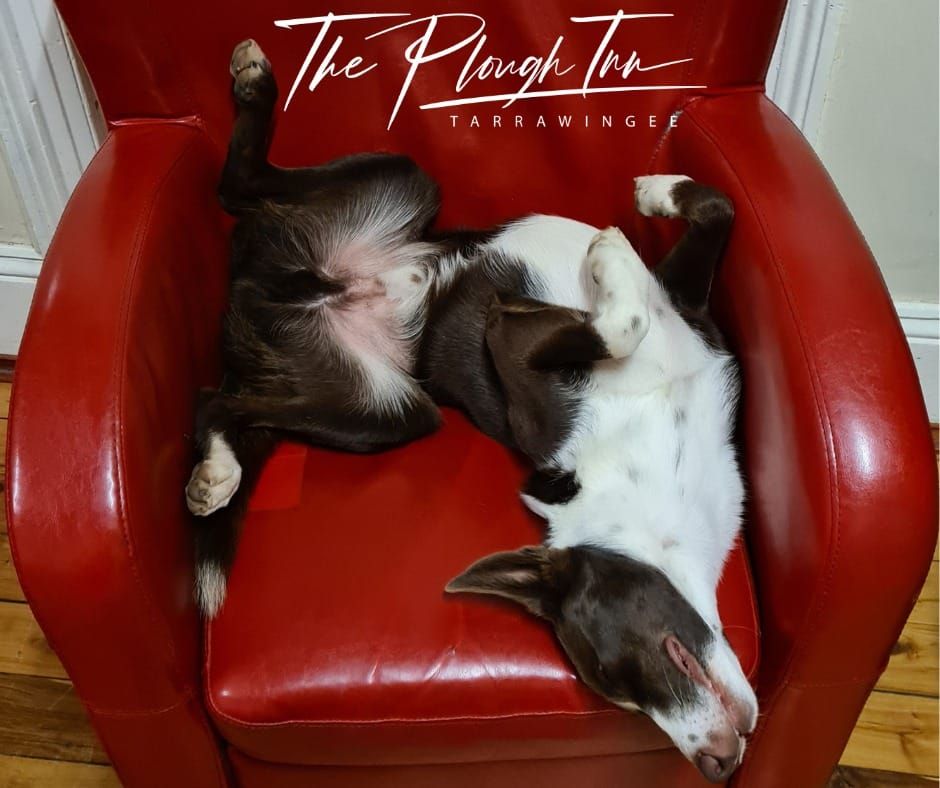 Pop into the Plough Inn Post image