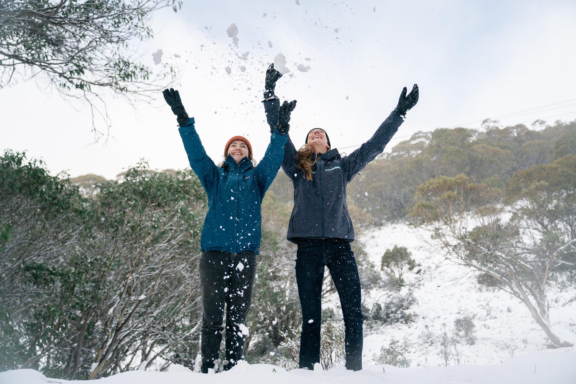 Alpine resorts tackling climate change challenges, amid study warning Post image