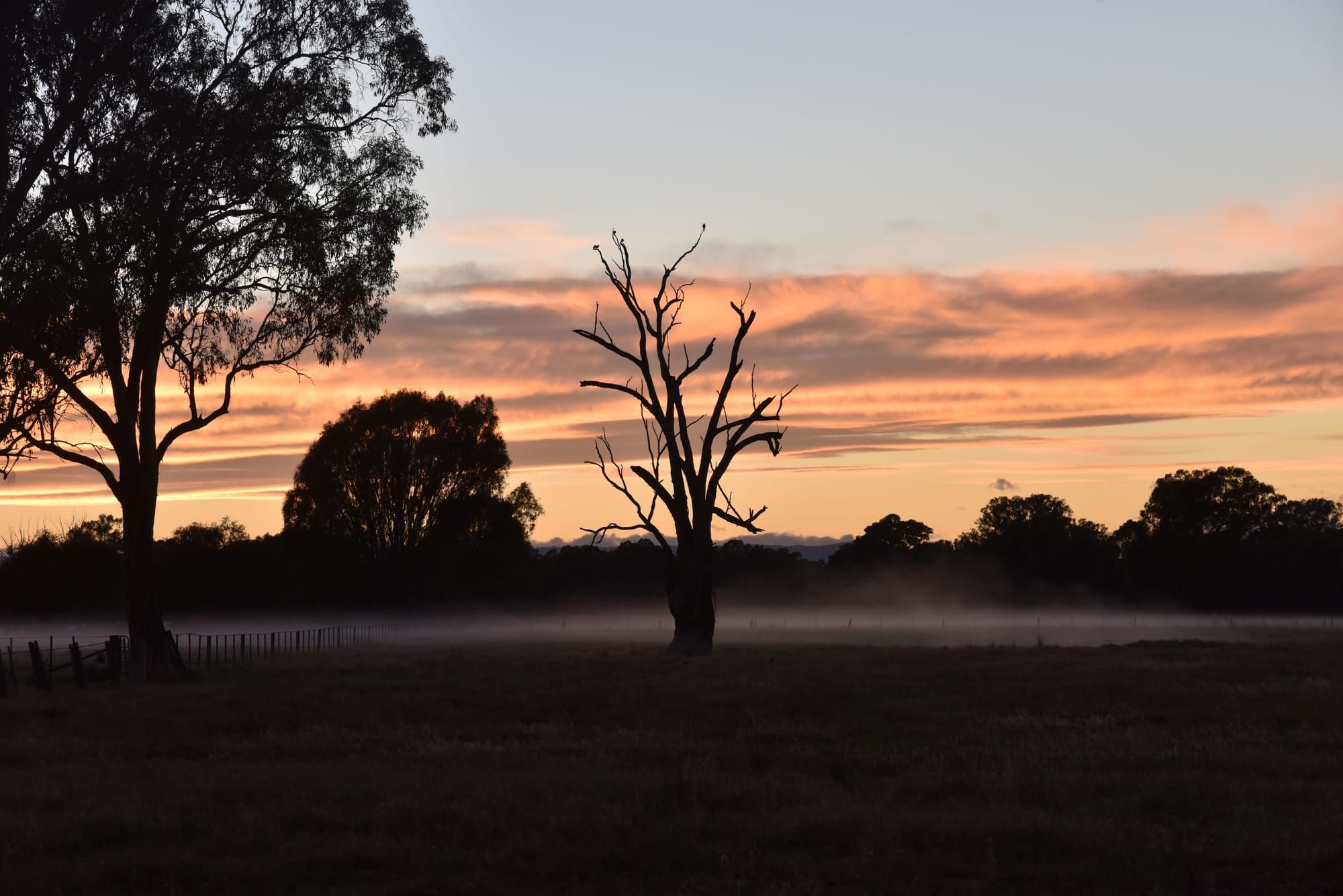 Riding and hiking trails, gourmet food and wine Post image