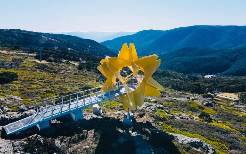 Flower of the Alpine Sun blossoms in time for winter Post image