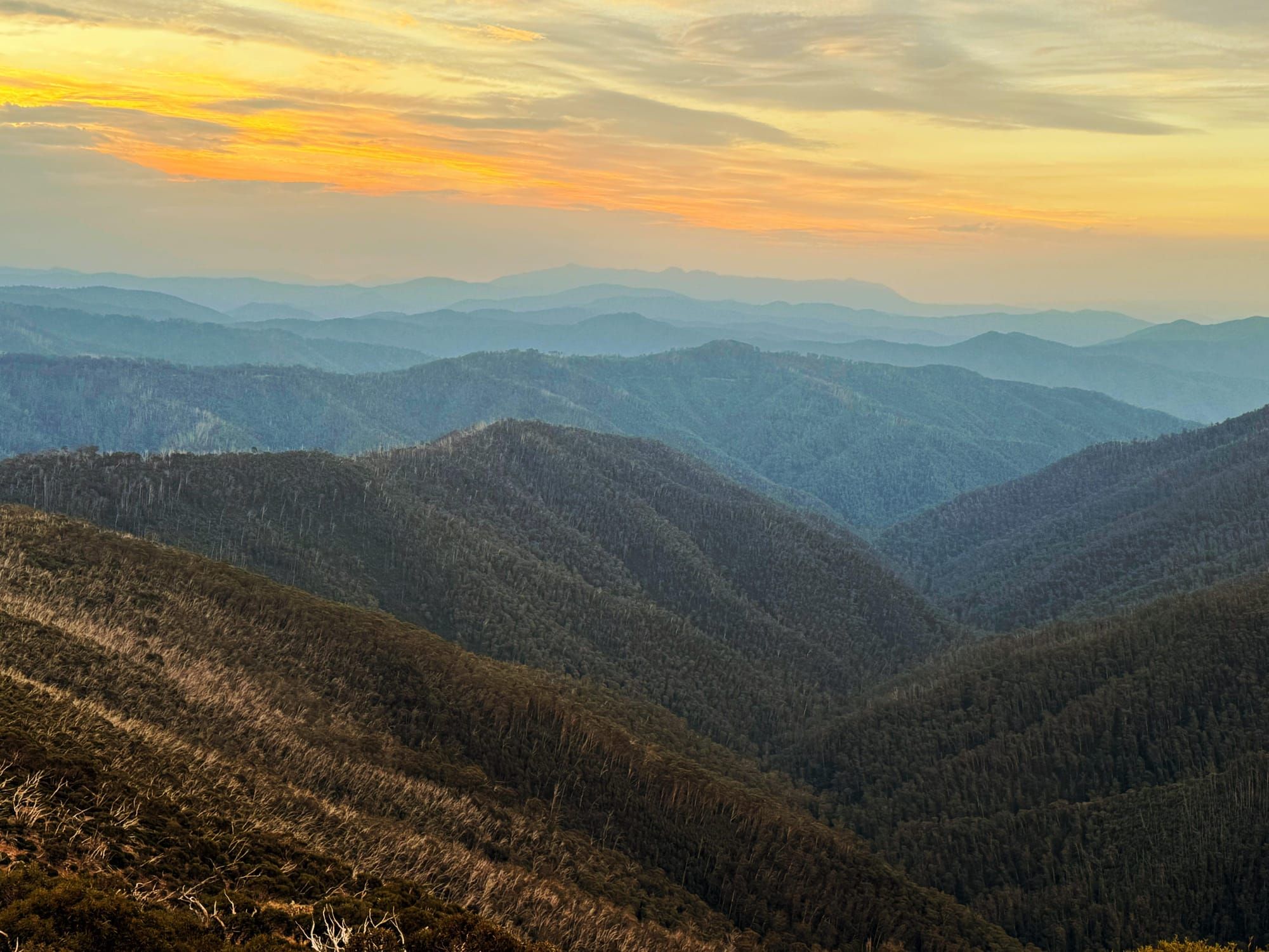 Excitement builds at Mount Hotham Post image